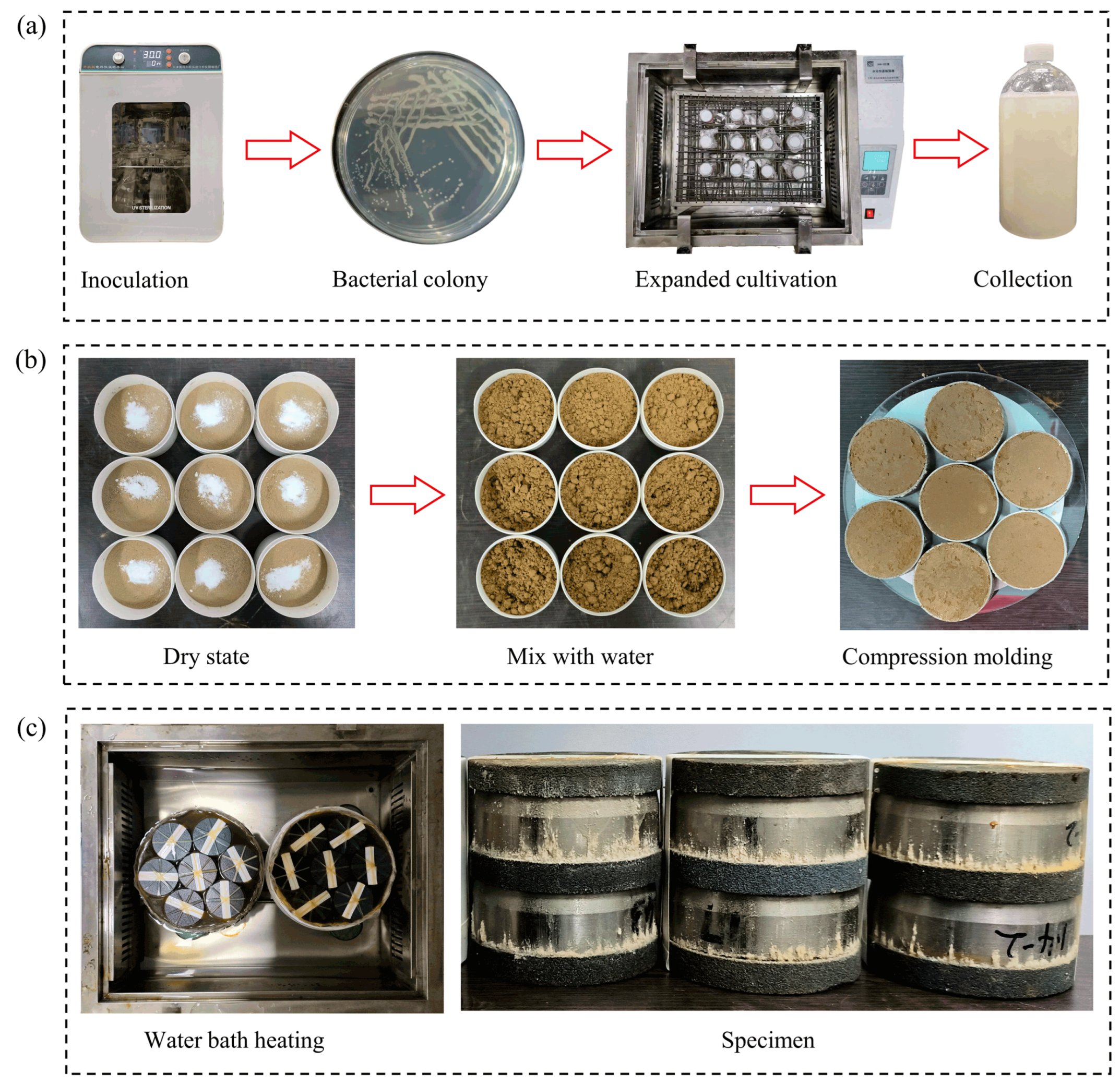 Polymers 17 00548 g002