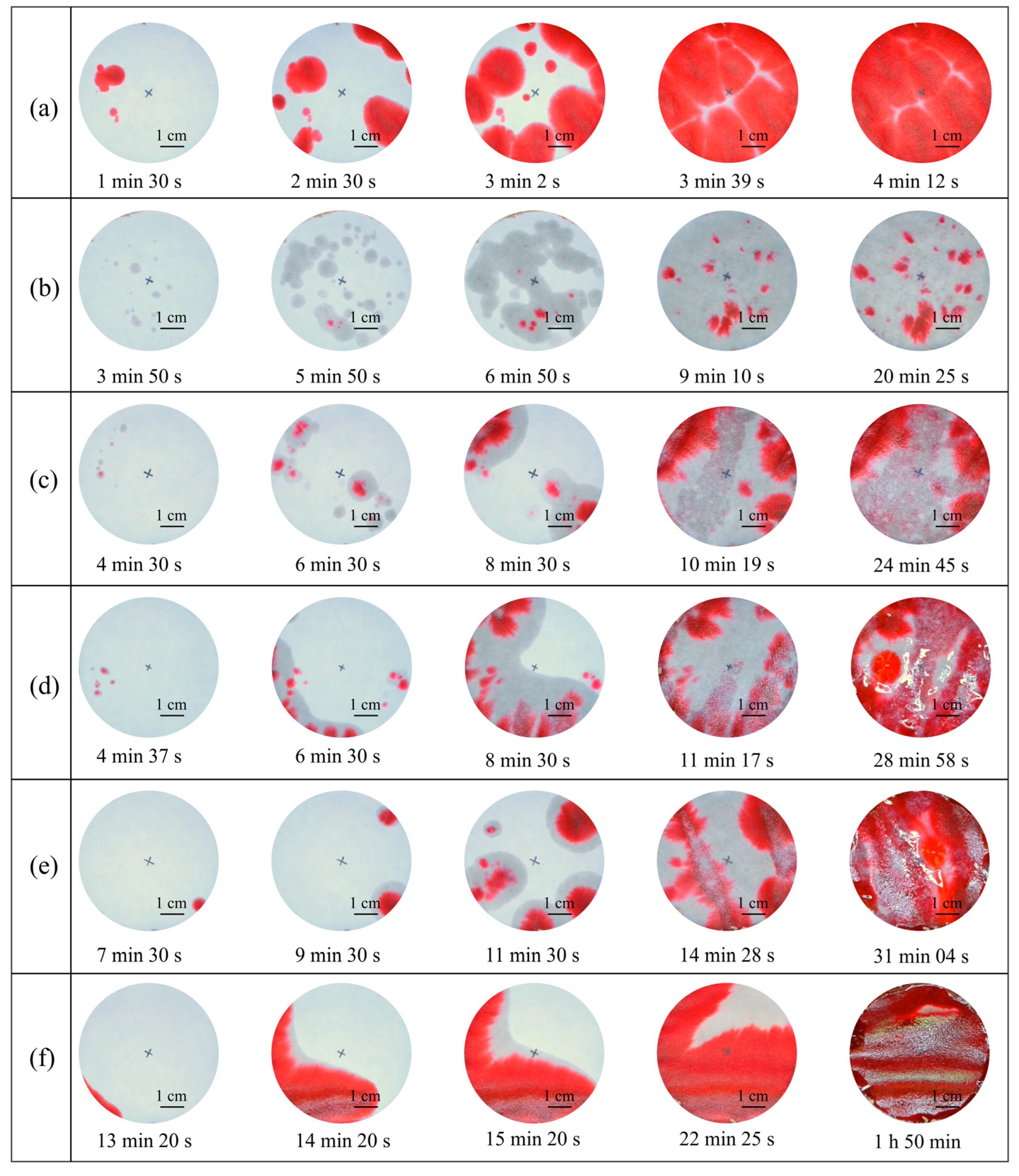 Polymers 17 00548 g014