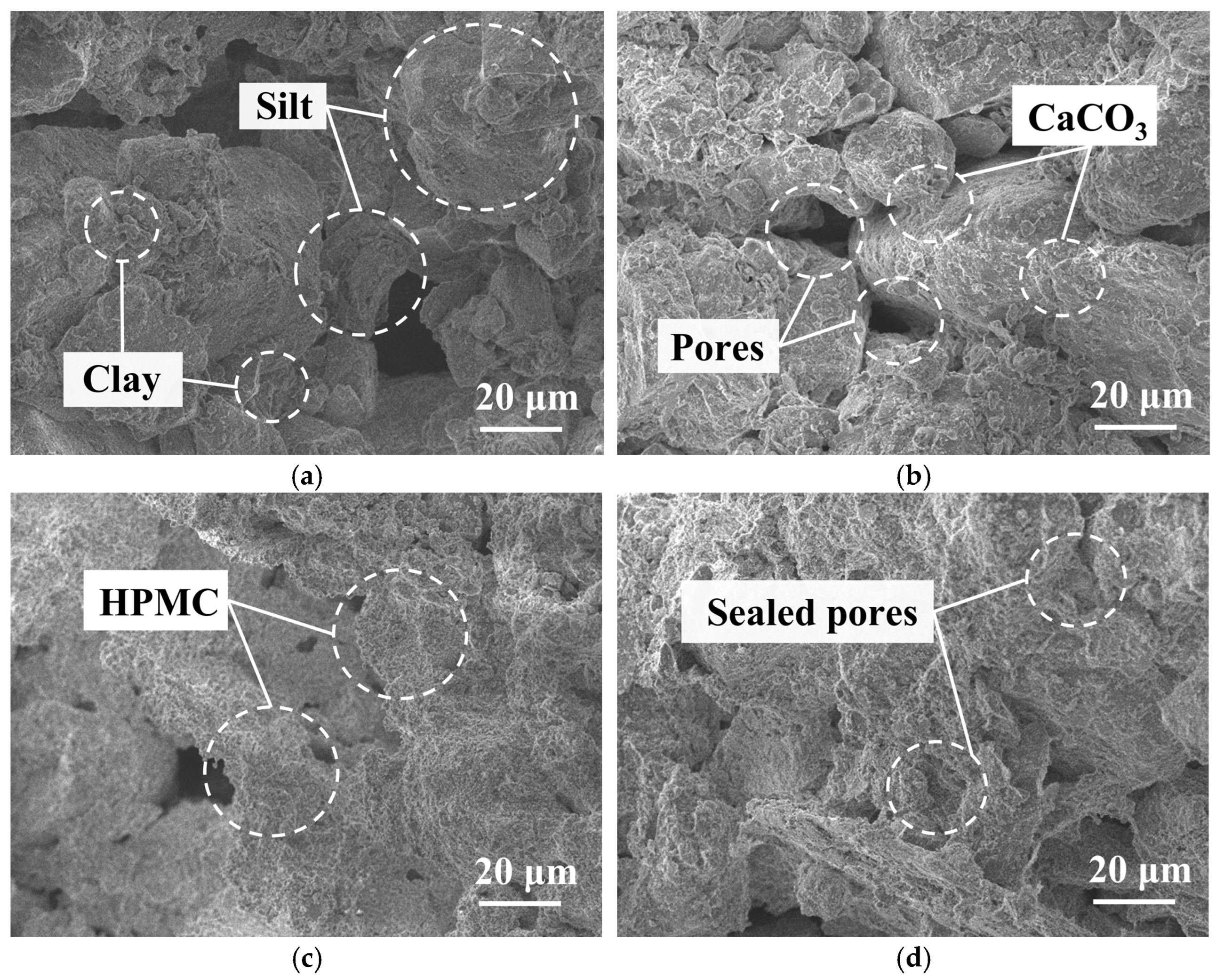 Polymers 17 00548 g018