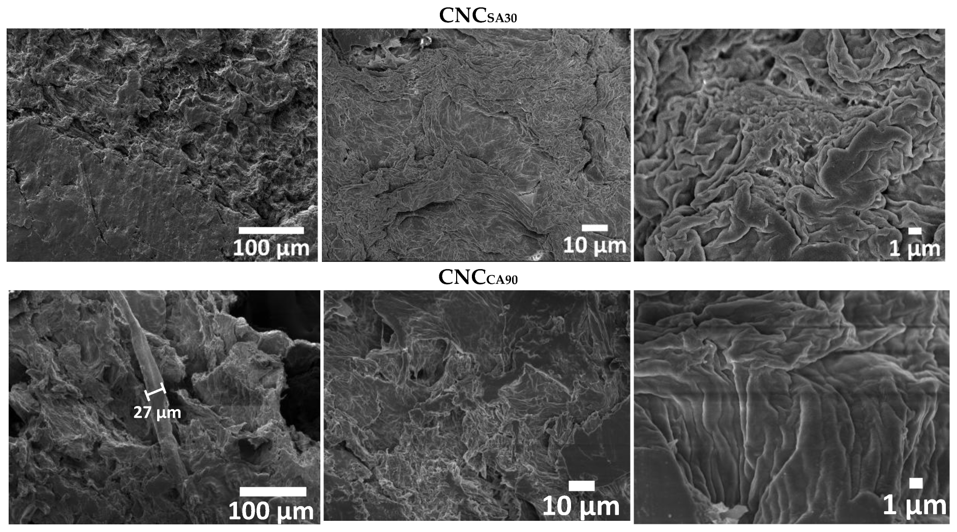 Polymers 17 00553 g004