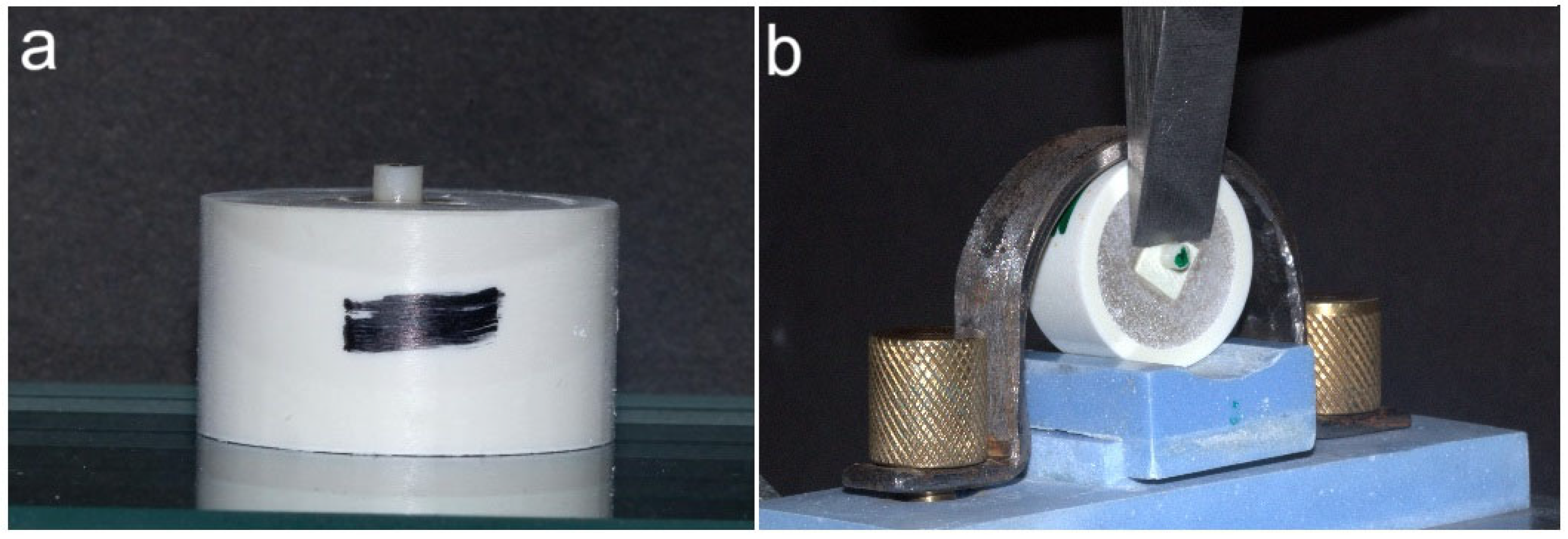 Polymers 17 00554 g001