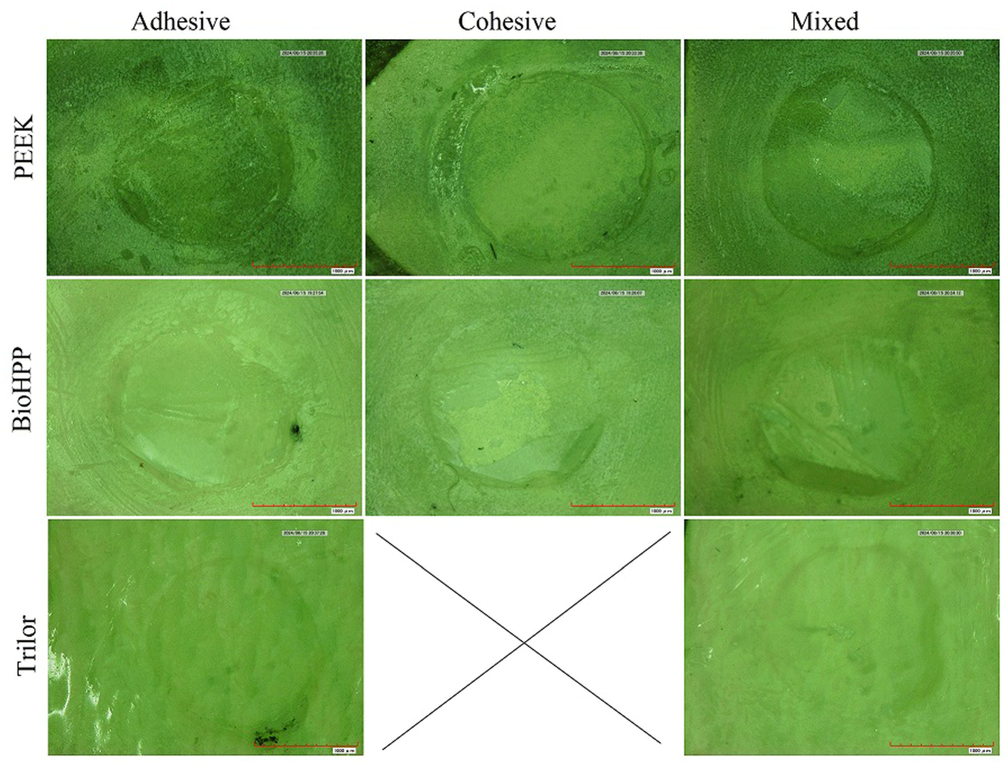 Polymers 17 00554 g003