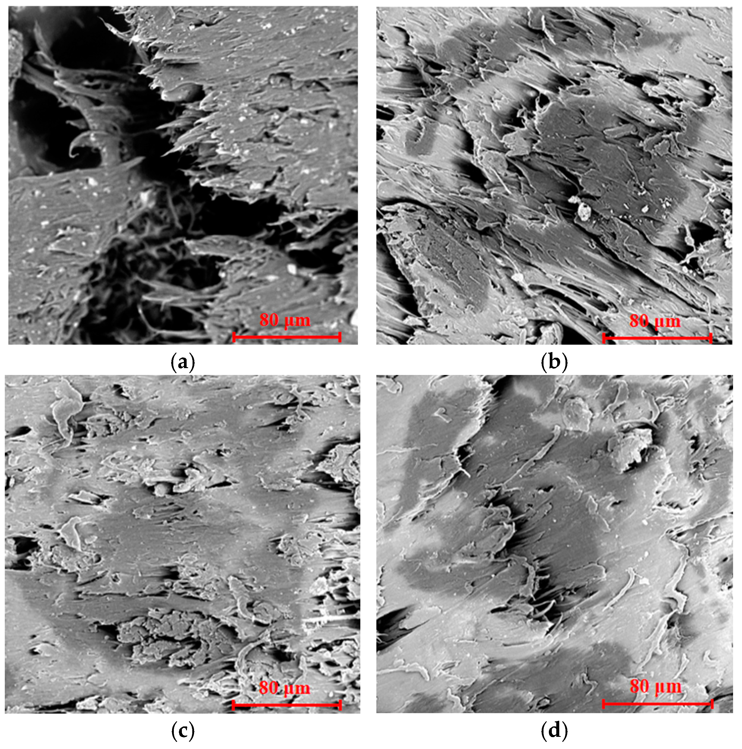 Polymers 17 00555 g006
