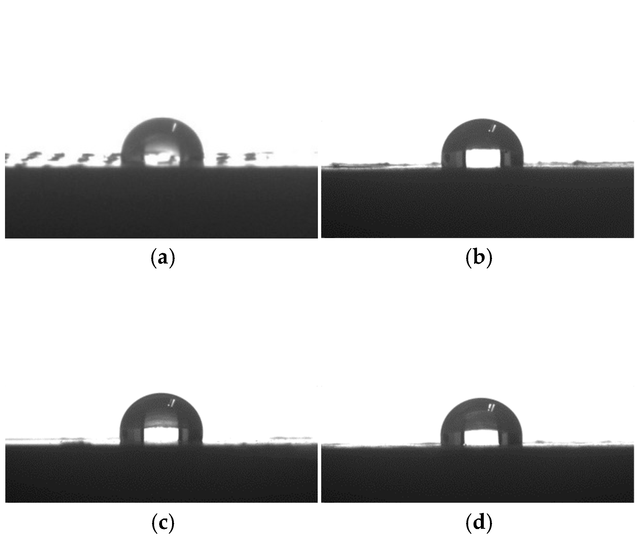 Polymers 17 00555 g010