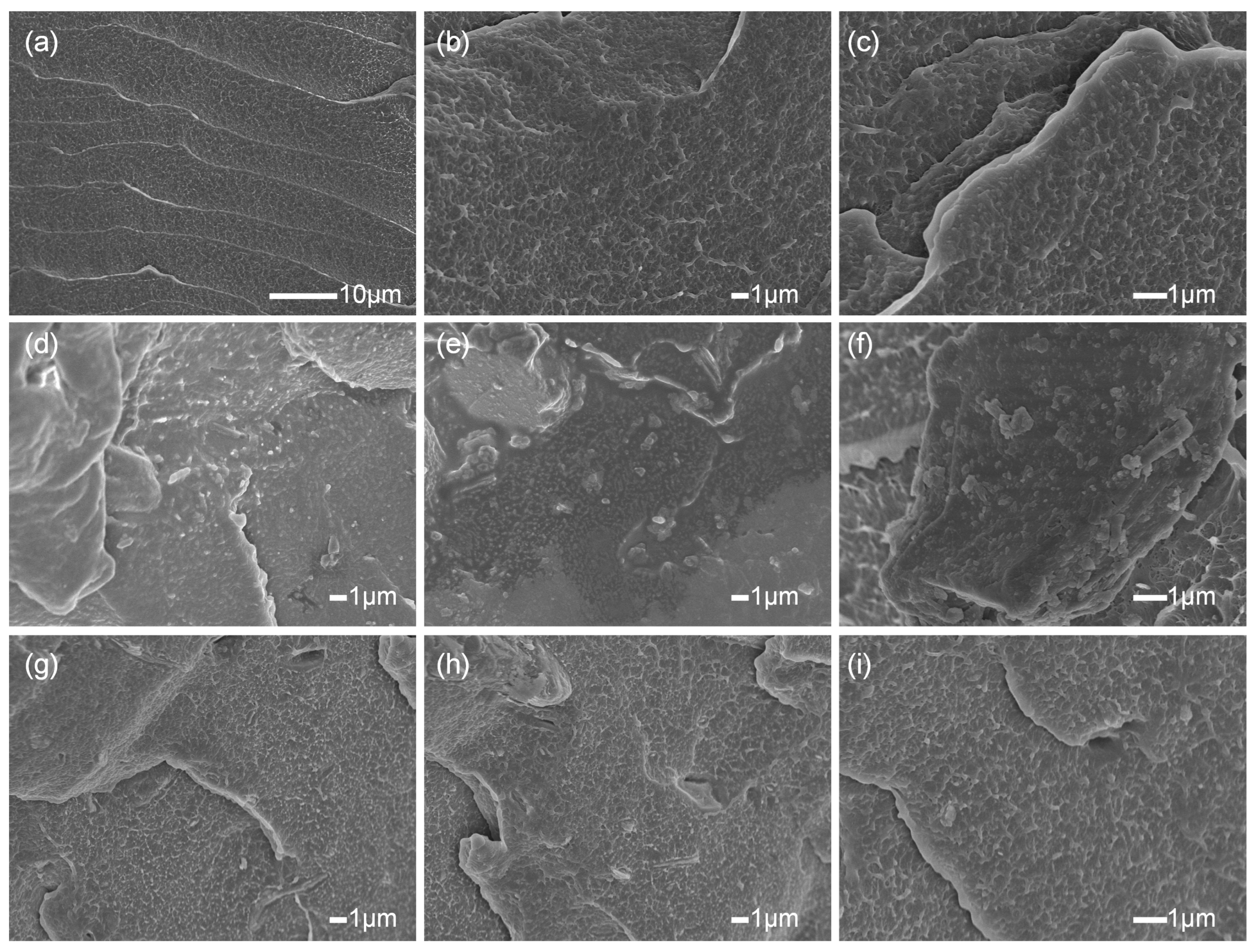 Polymers 17 00556 g008 Polymers 17 00556 g008