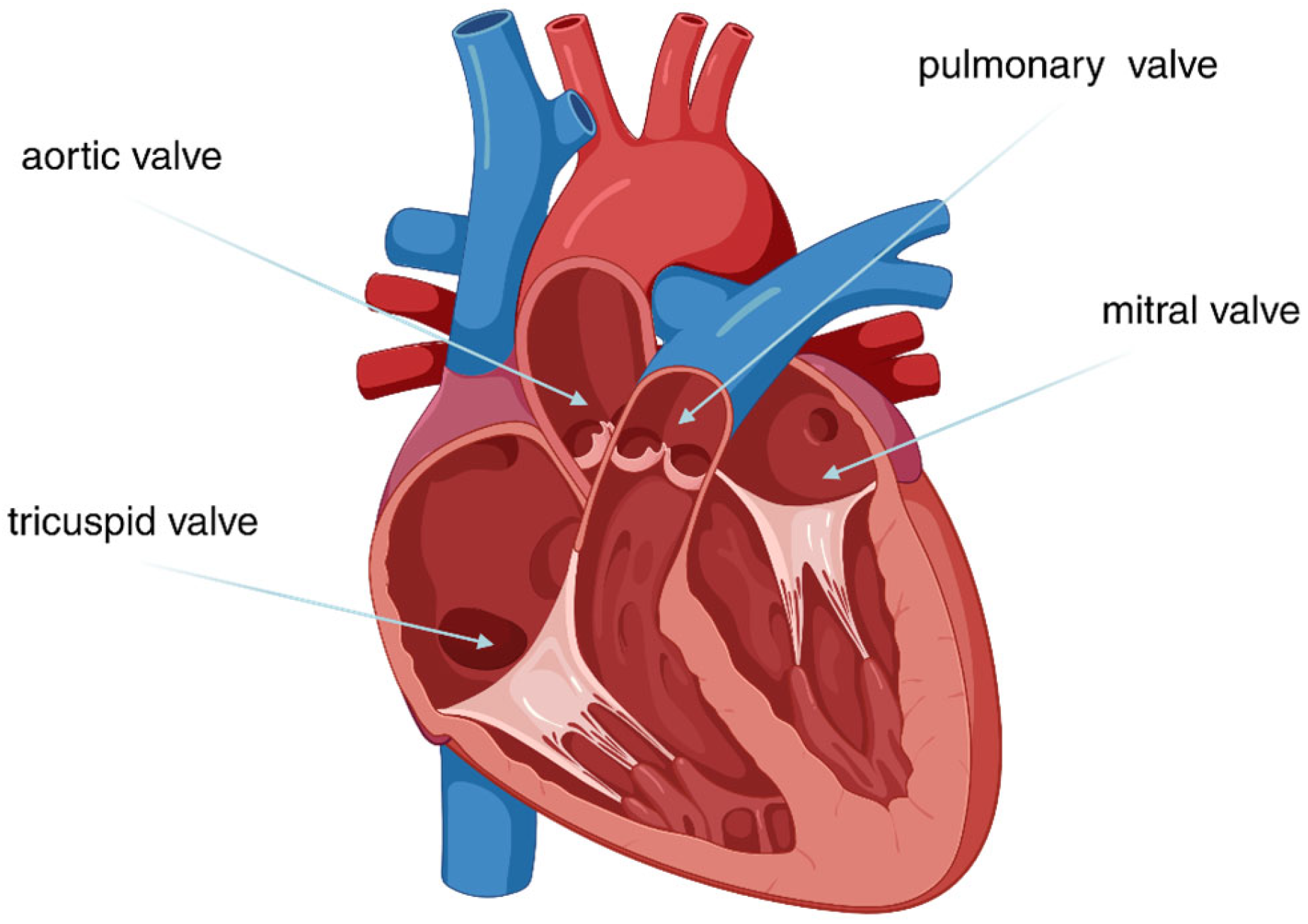 Polymers 17 00557 g002 Polymers 17 00557 g002