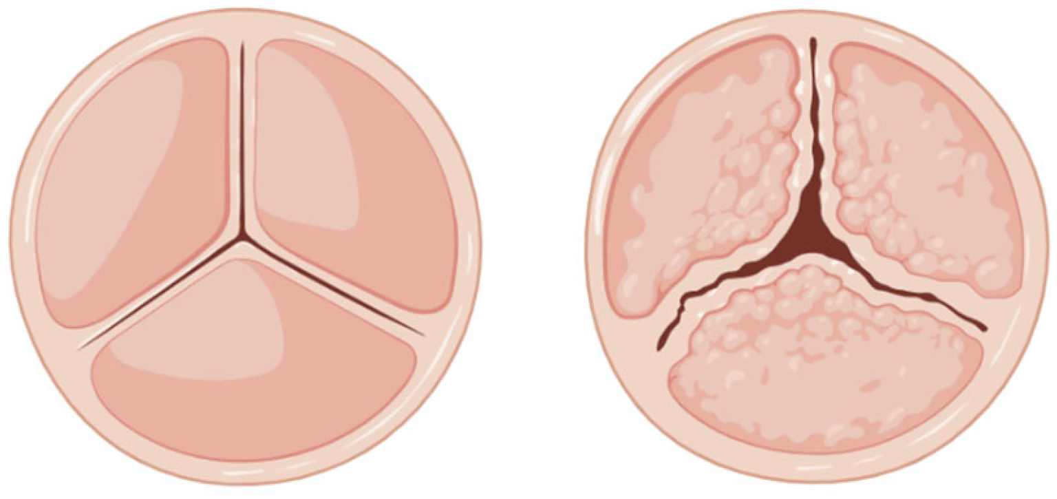 Polymers 17 00557 g003 Polymers 17 00557 g003