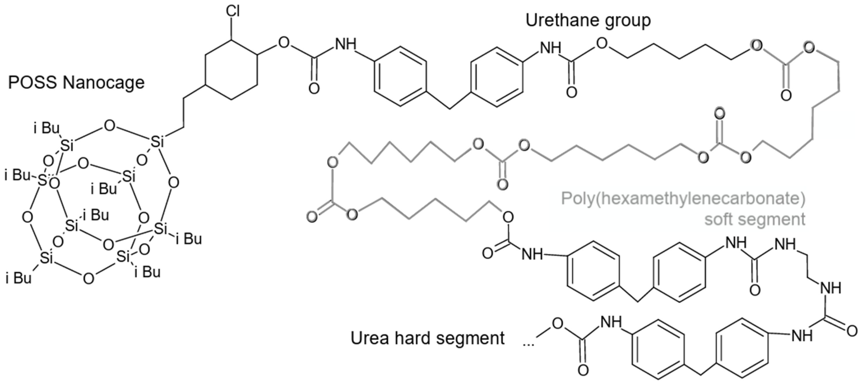 Polymers 17 00557 g007 Polymers 17 00557 g007
