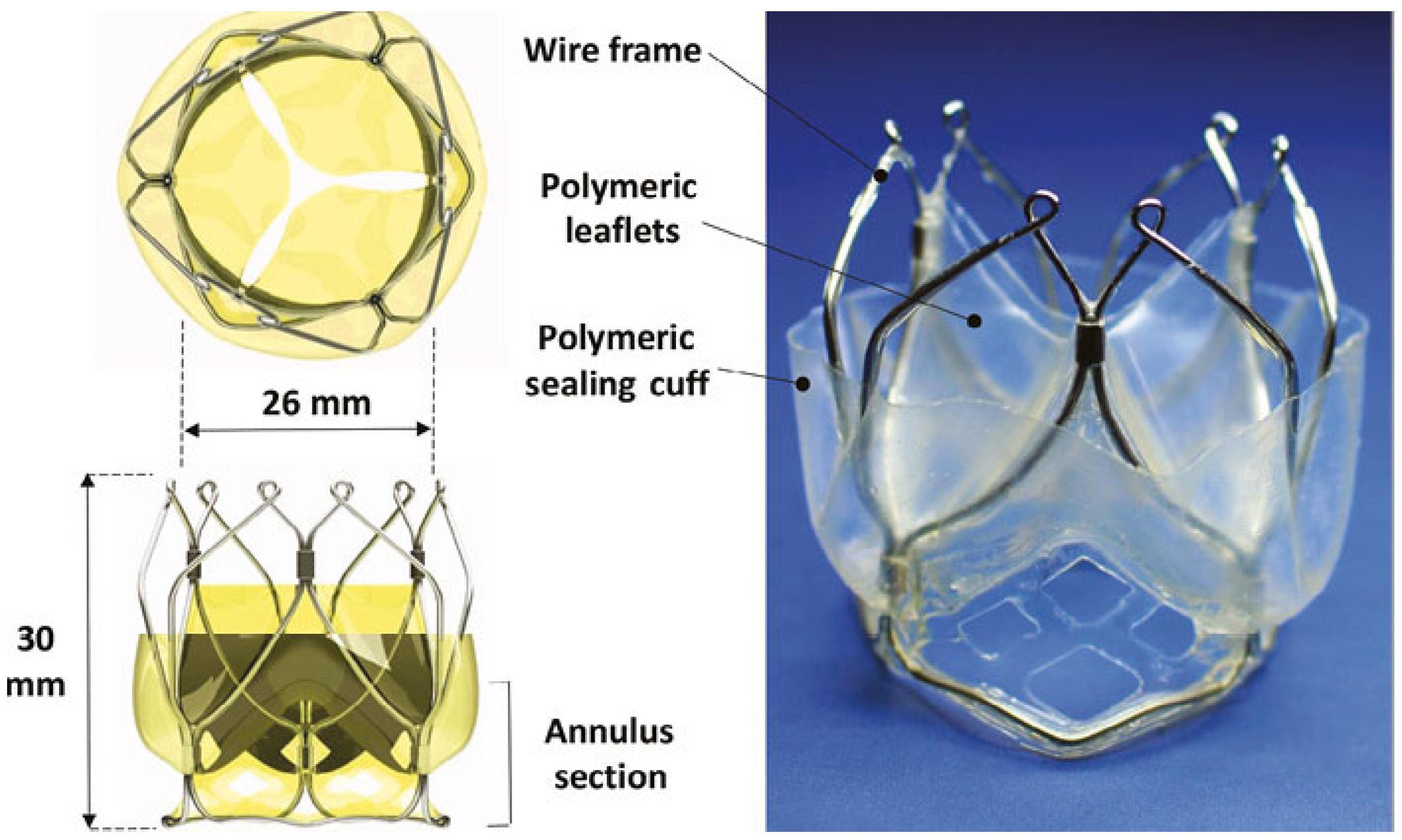 Polymers 17 00557 g008 Polymers 17 00557 g008