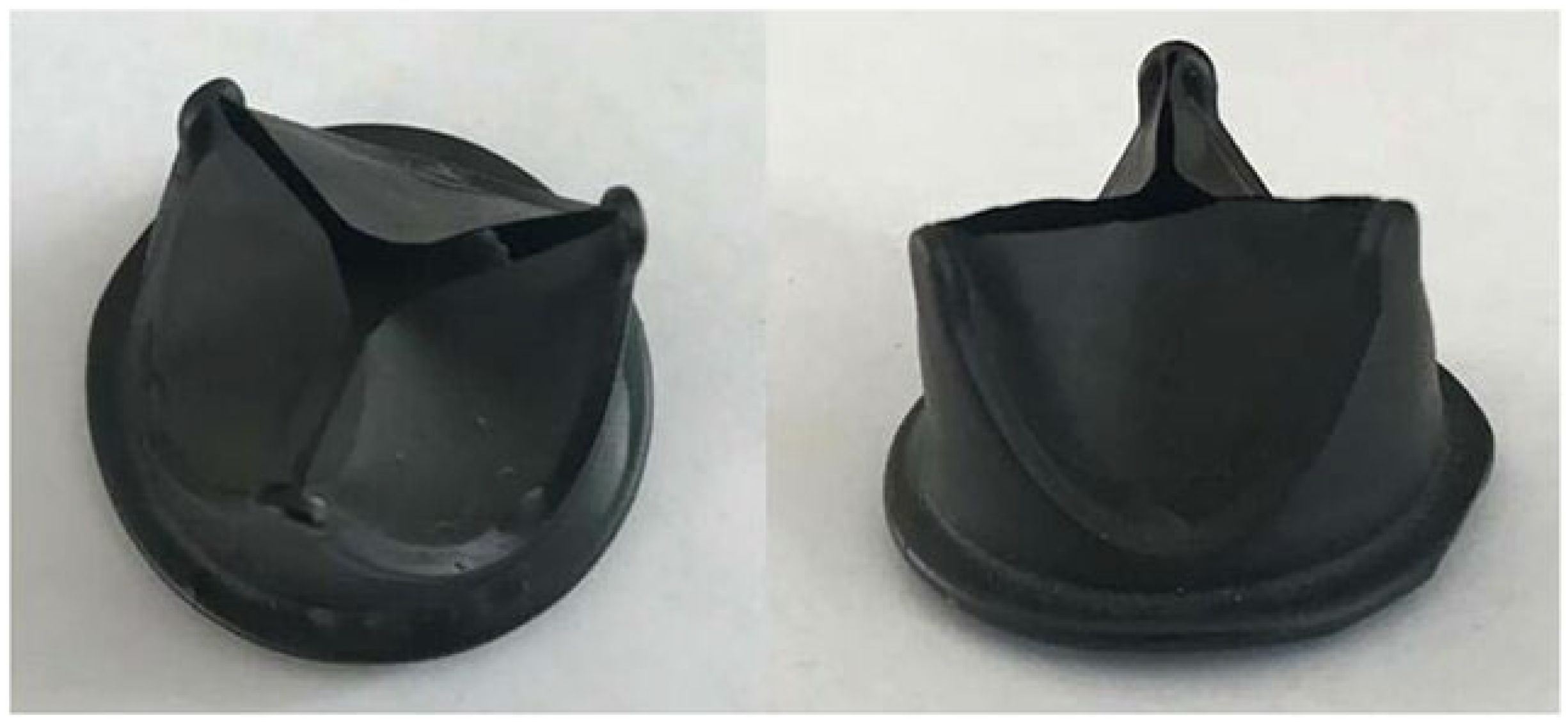 Polymers 17 00557 g009 Polymers 17 00557 g009