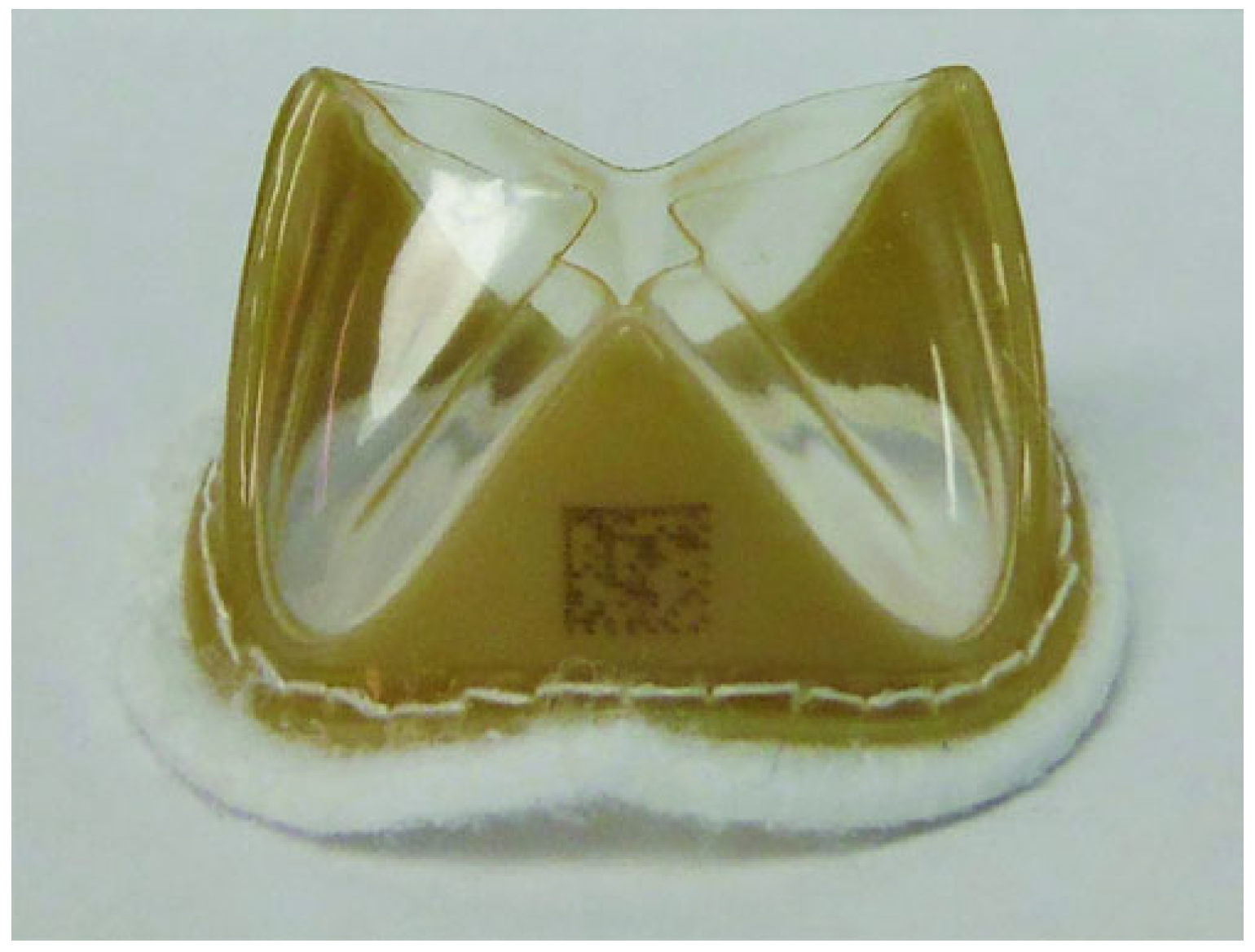 Polymers 17 00557 g011 Polymers 17 00557 g011