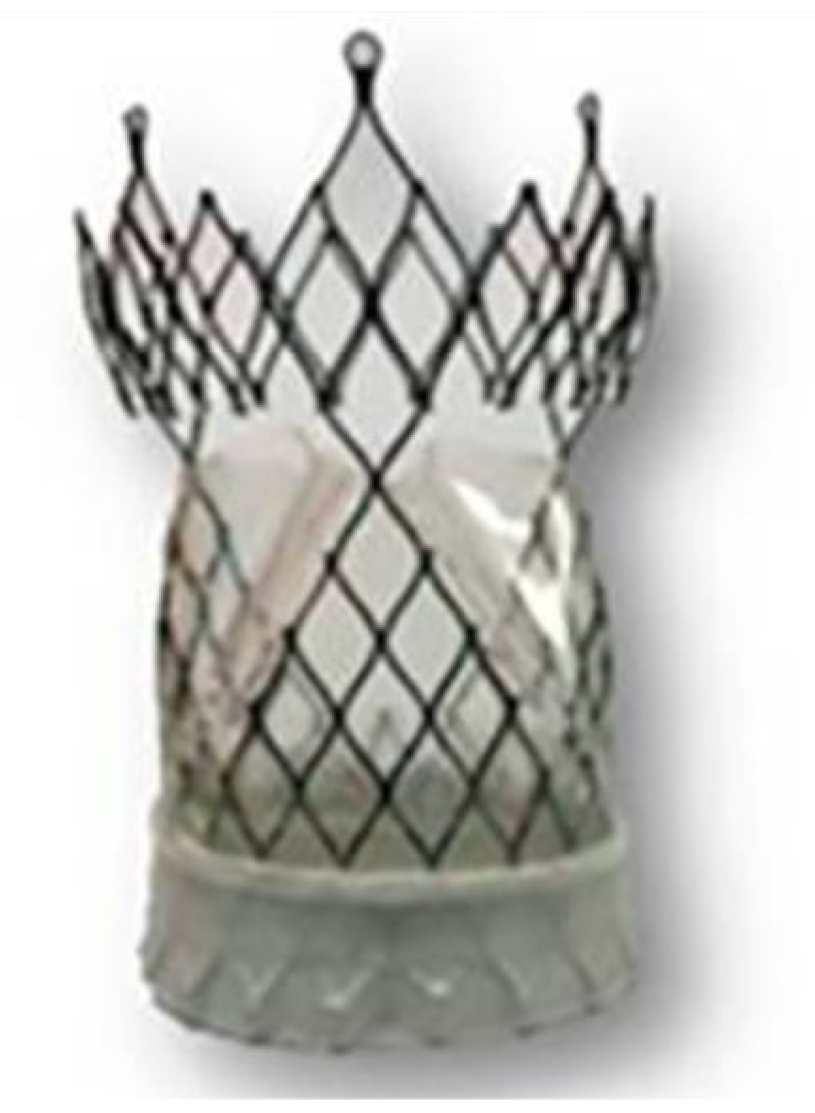 Polymers 17 00557 g012 Polymers 17 00557 g012