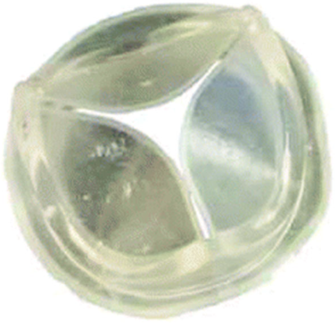 Polymers 17 00557 g021 Polymers 17 00557 g021