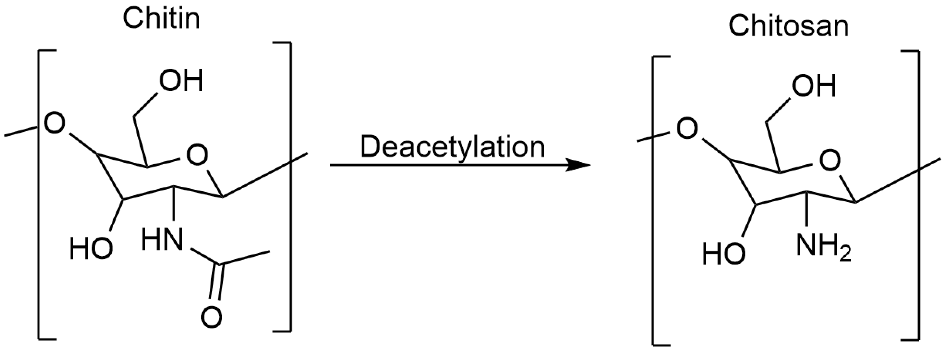 Polymers 17 00558 g001