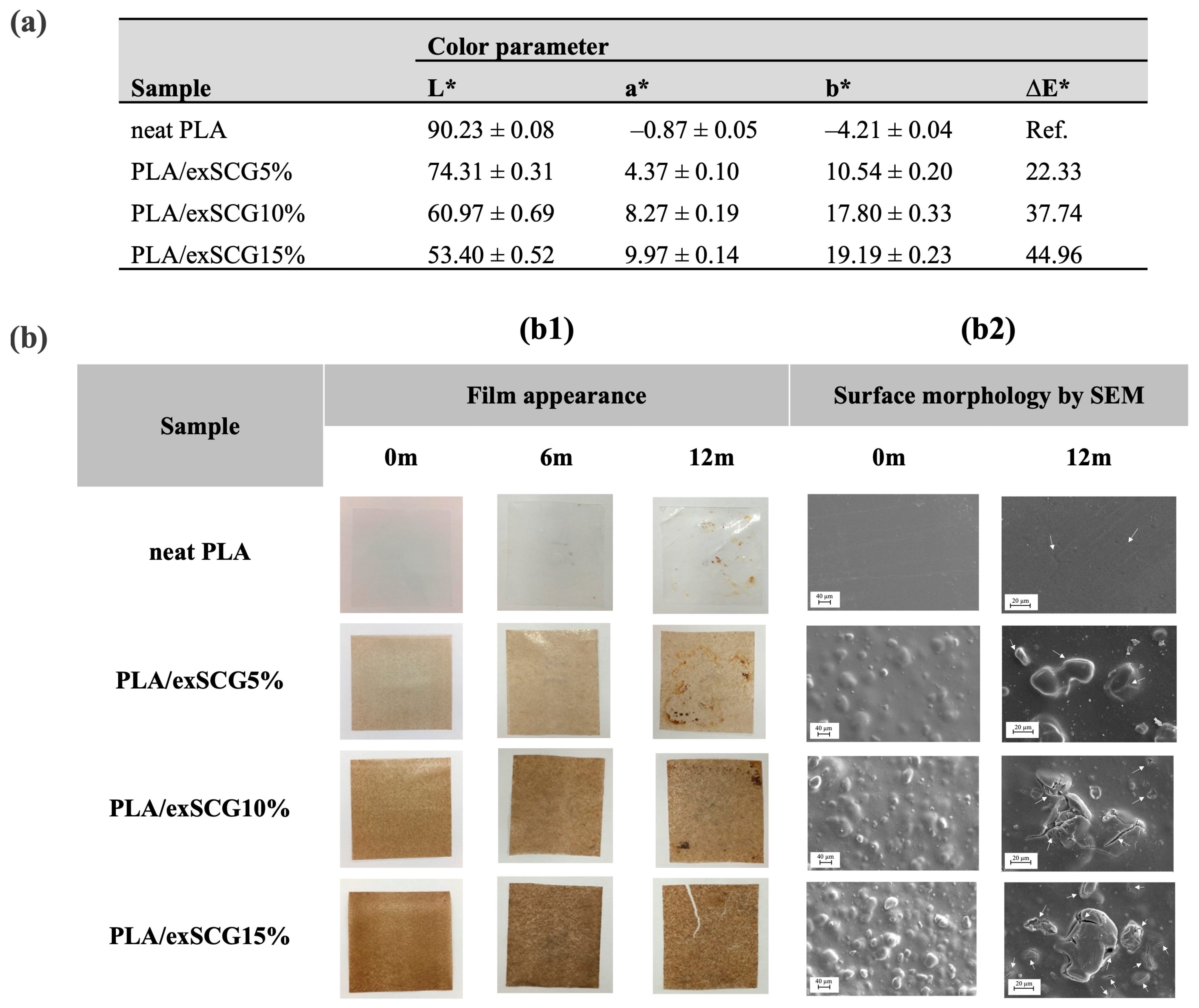 Polymers 17 00561 g005