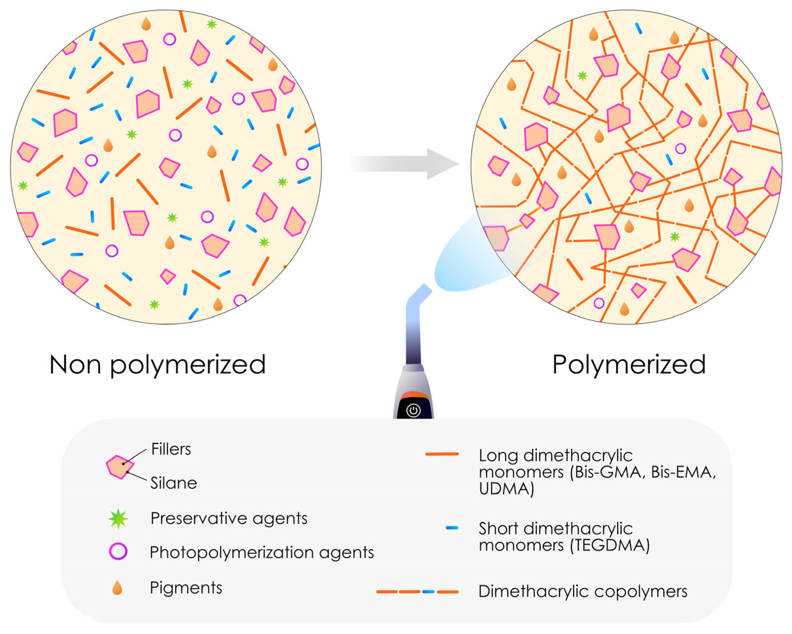 Polymers 17 00564 g001