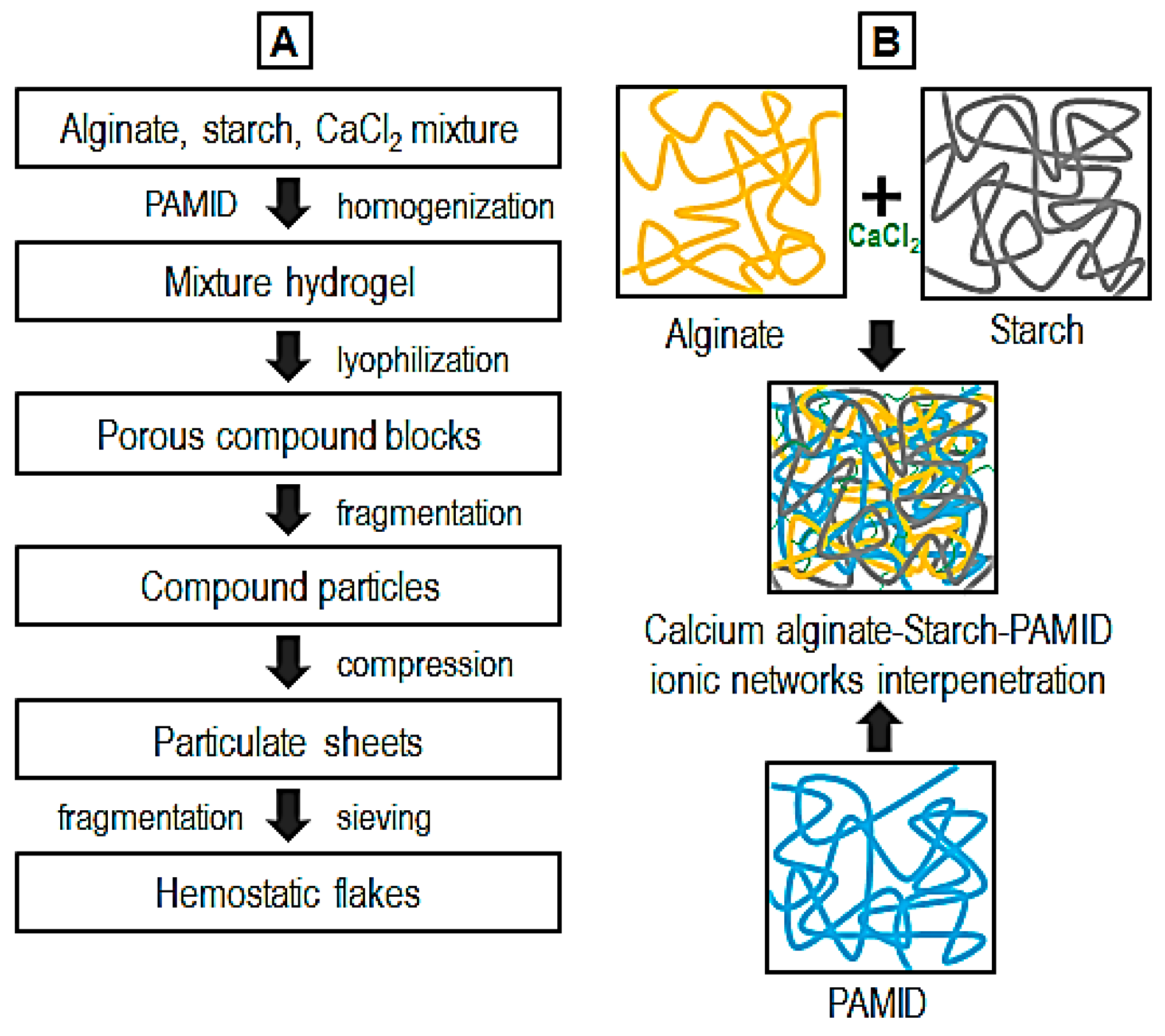 Polymers 17 00568 g001