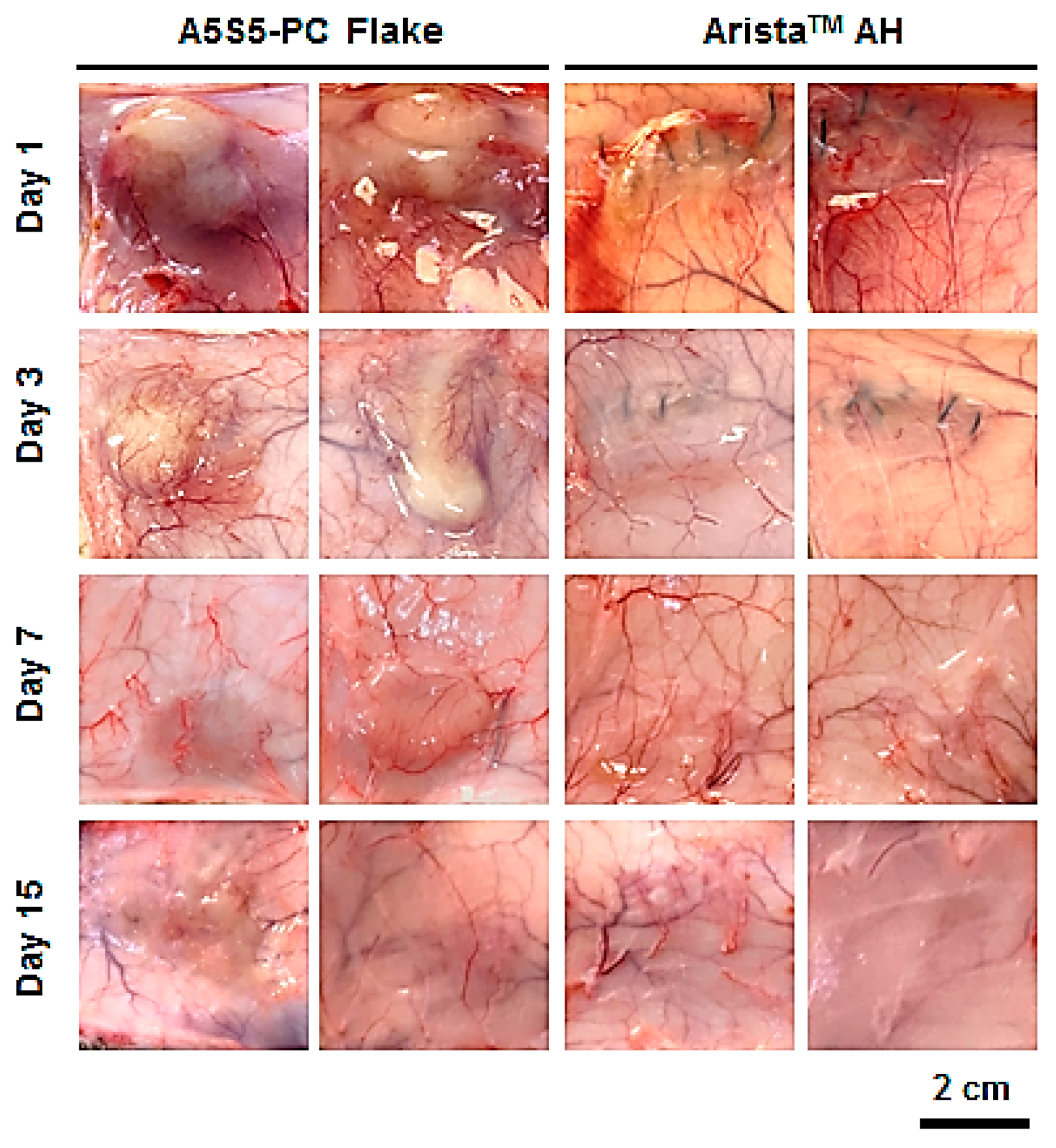 Polymers 17 00568 g009