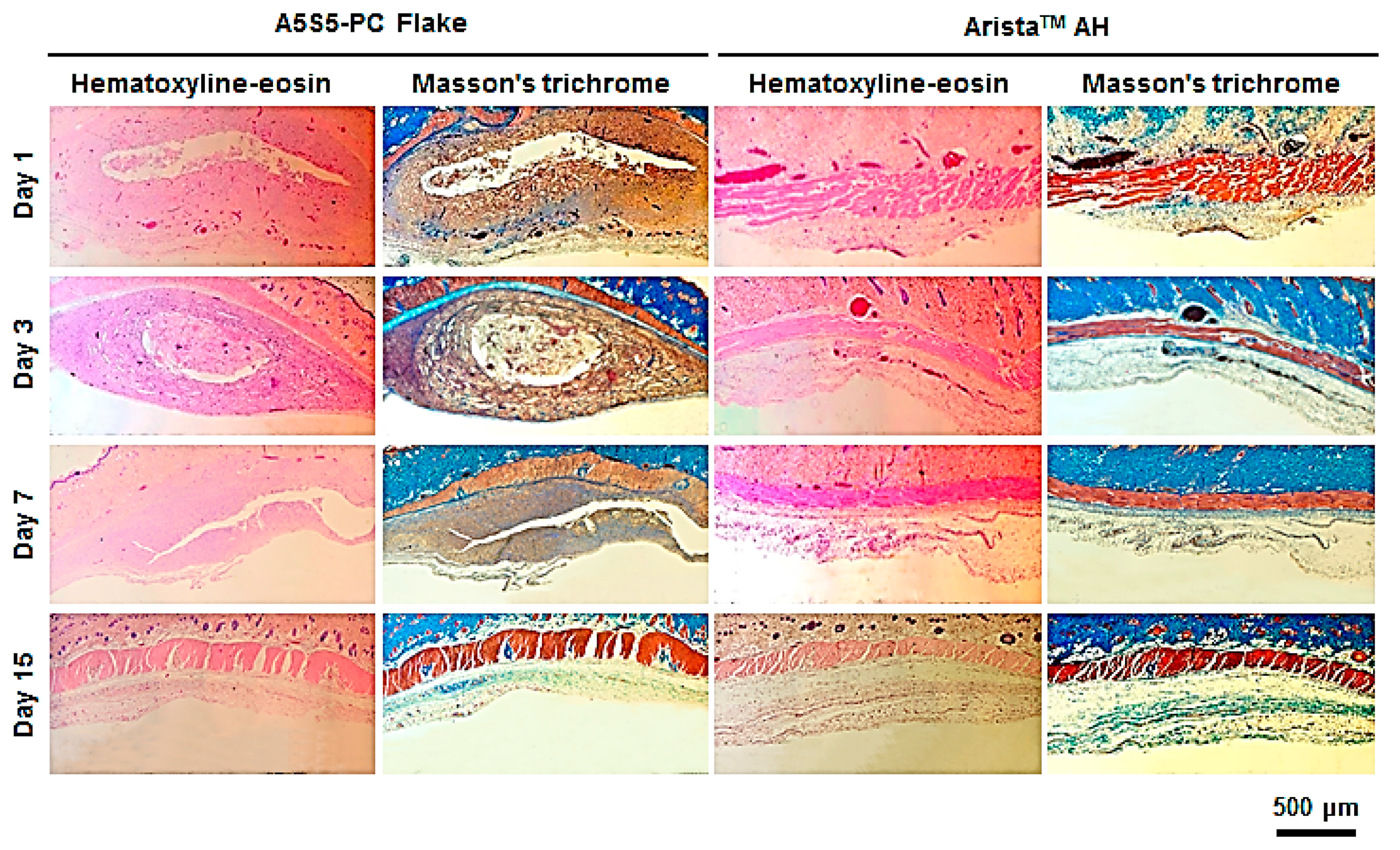 Polymers 17 00568 g010