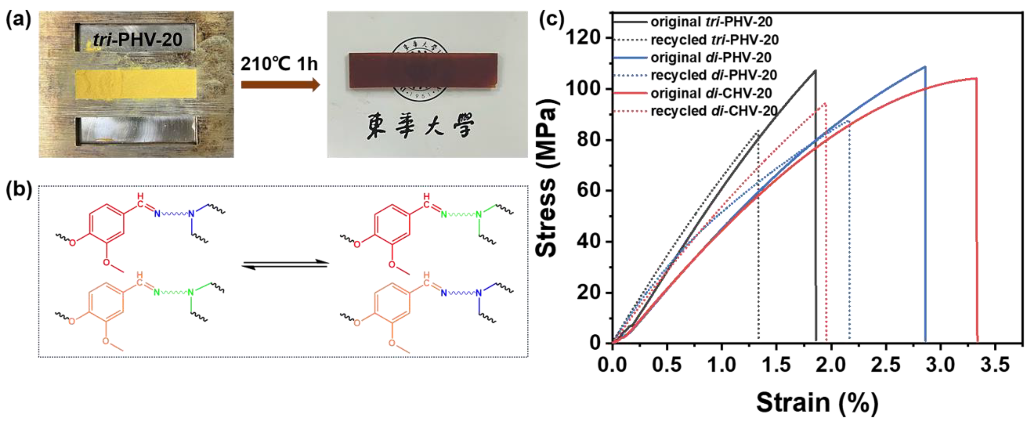 Polymers 17 00571 g005