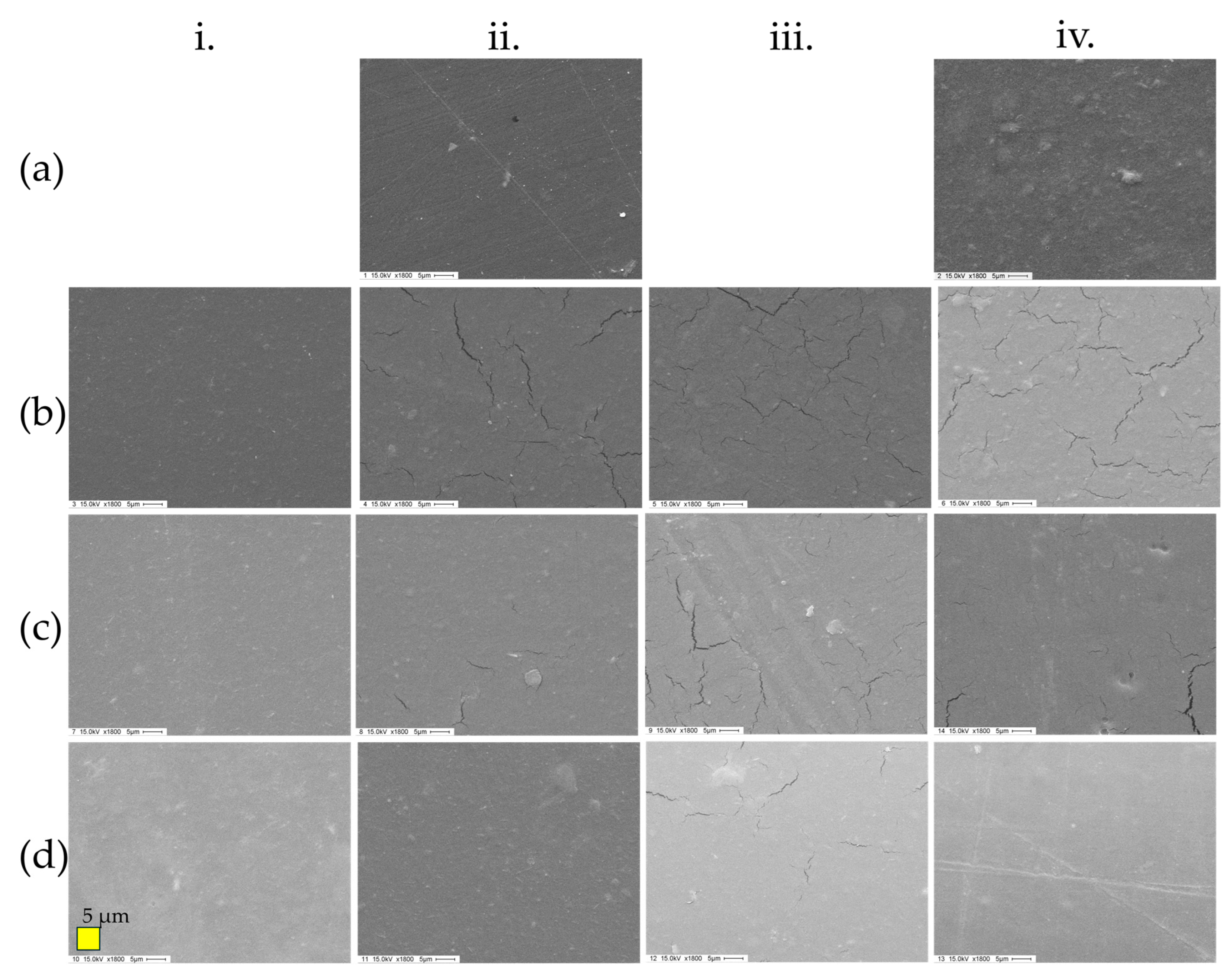 Polymers 17 00572 g004