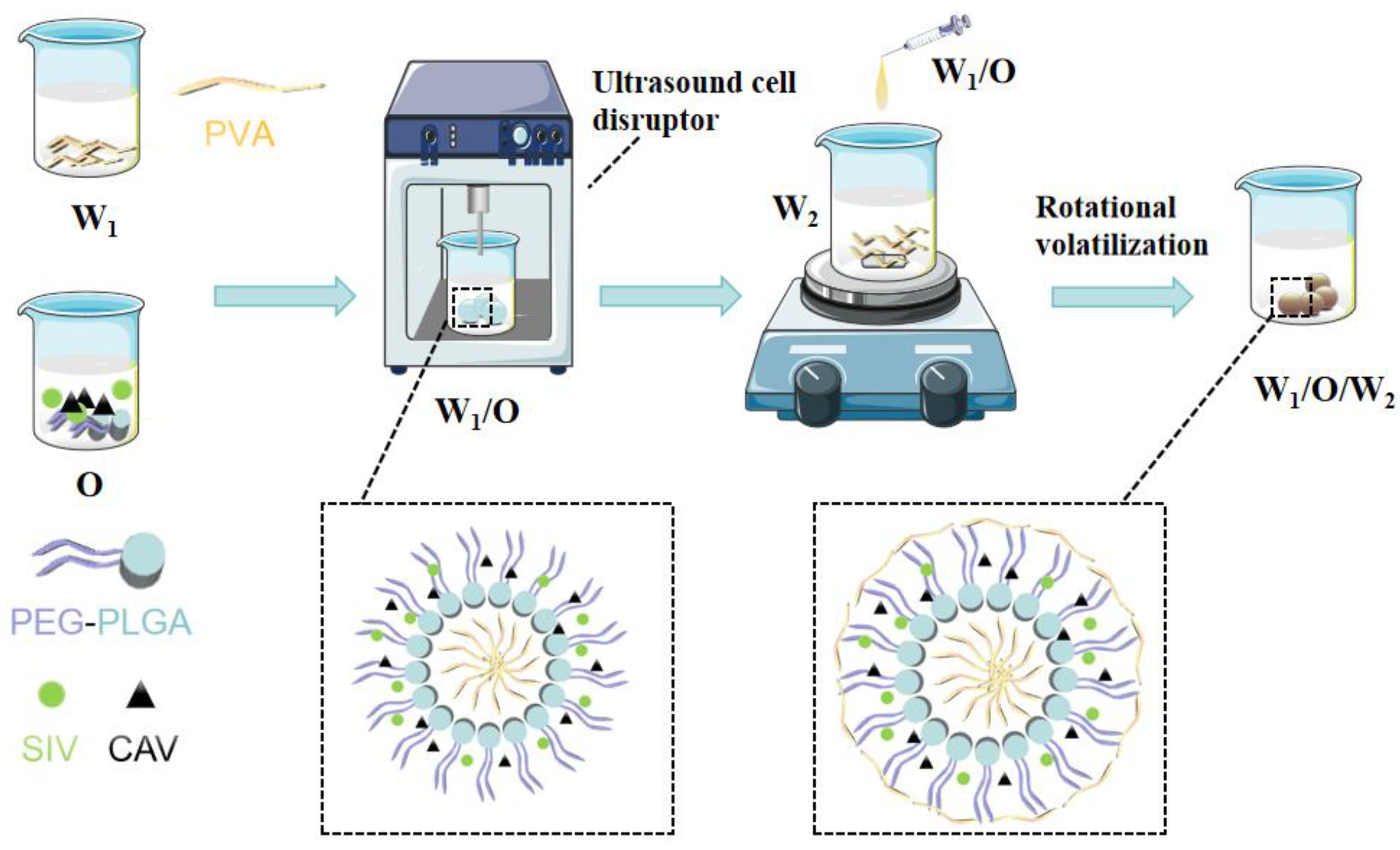 Polymers 17 00574 g001