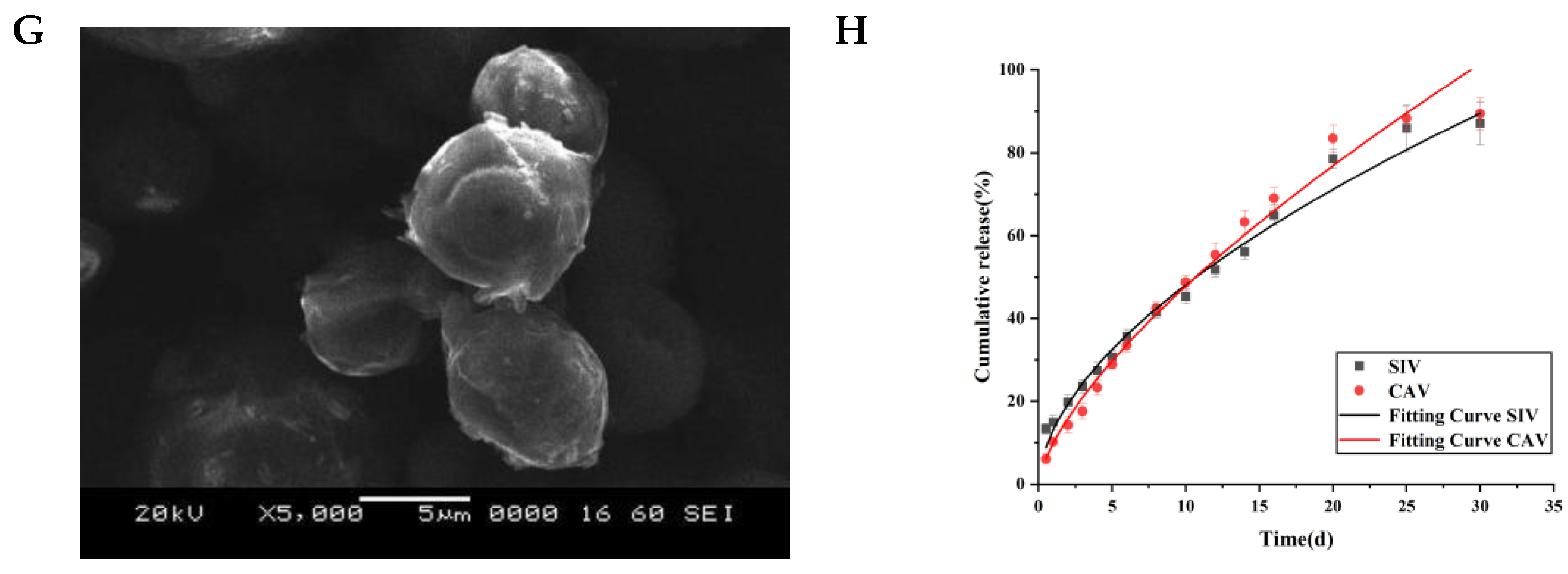 Polymers 17 00574 g002b