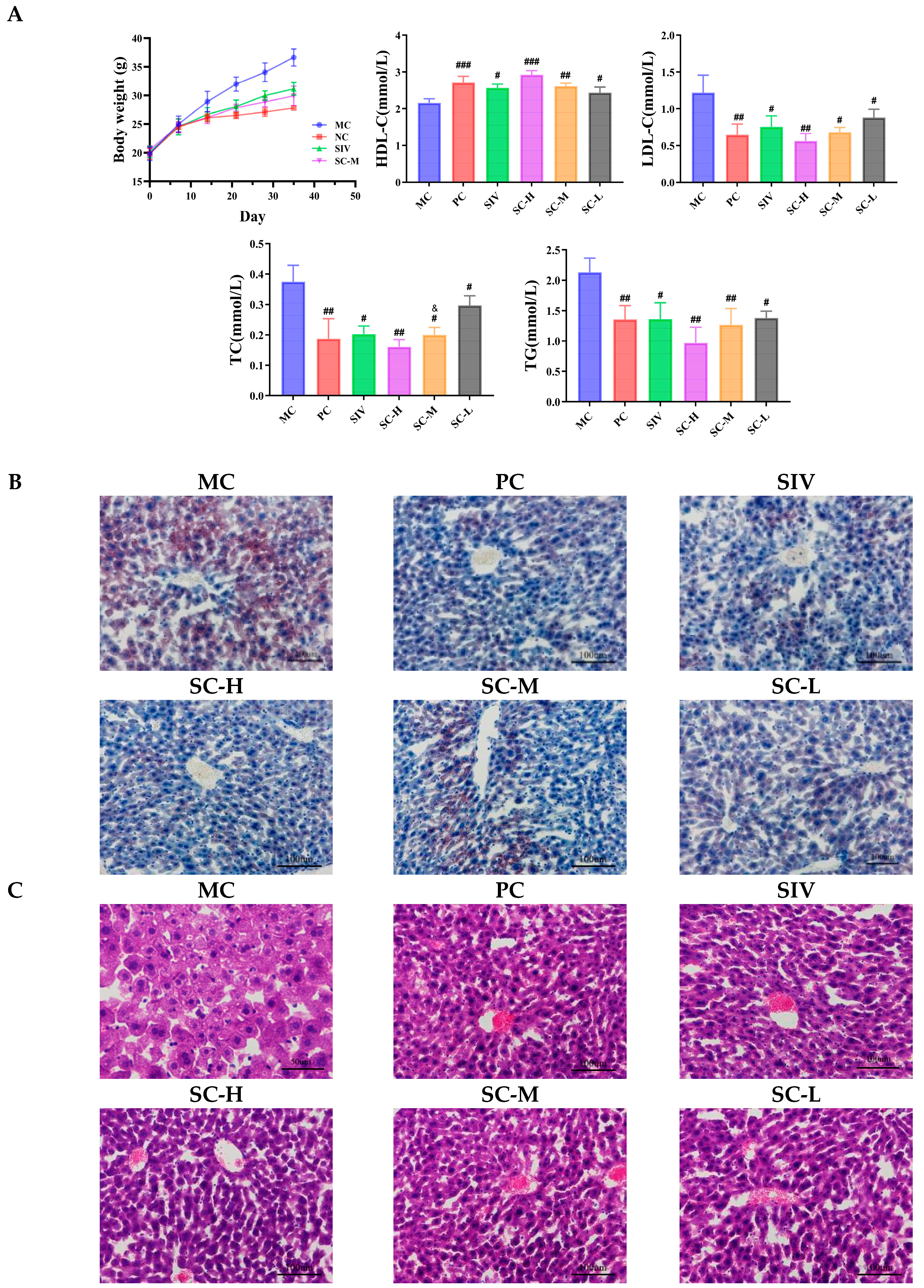 Polymers 17 00574 g004