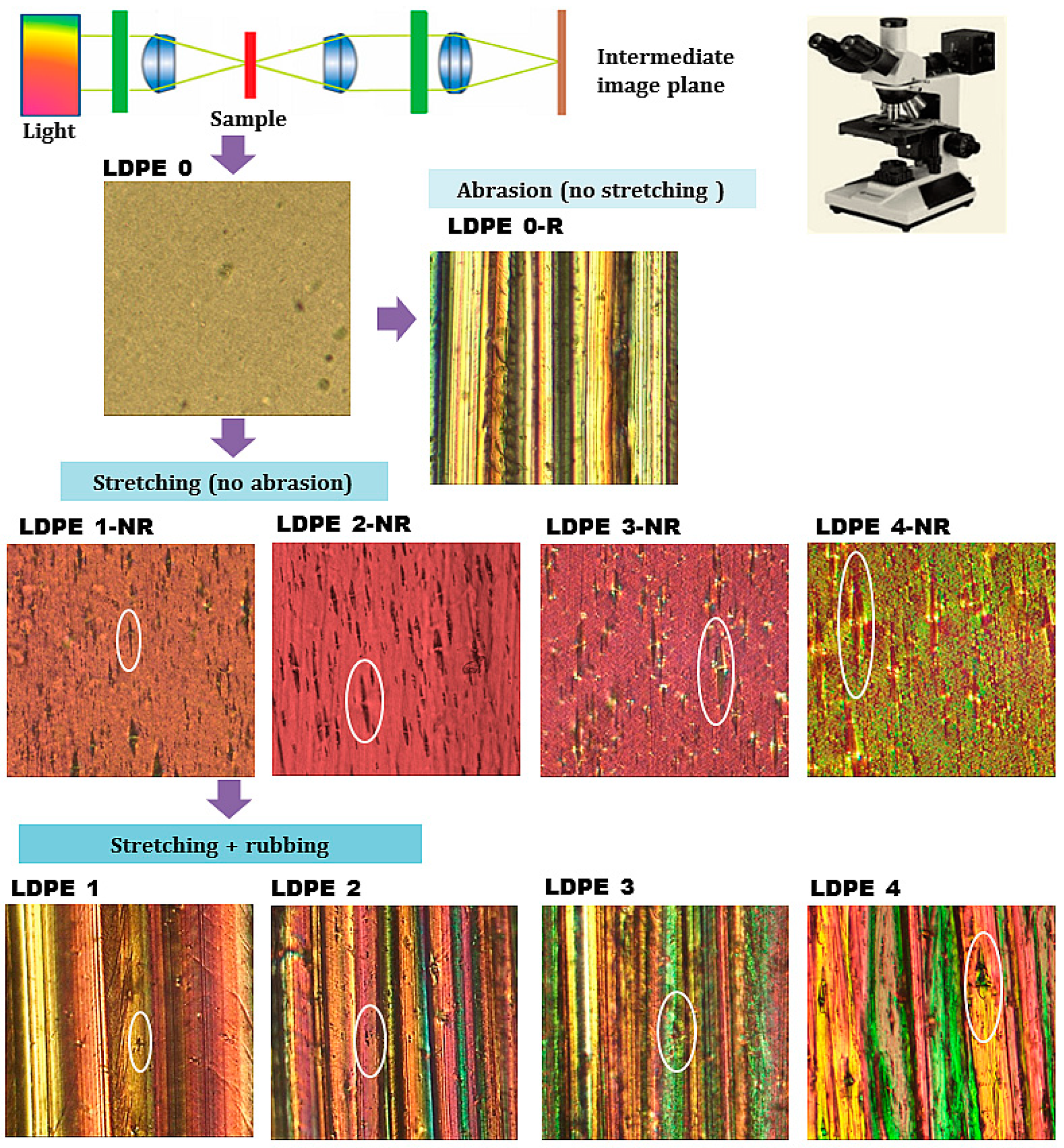 Polymers 17 00578 g005