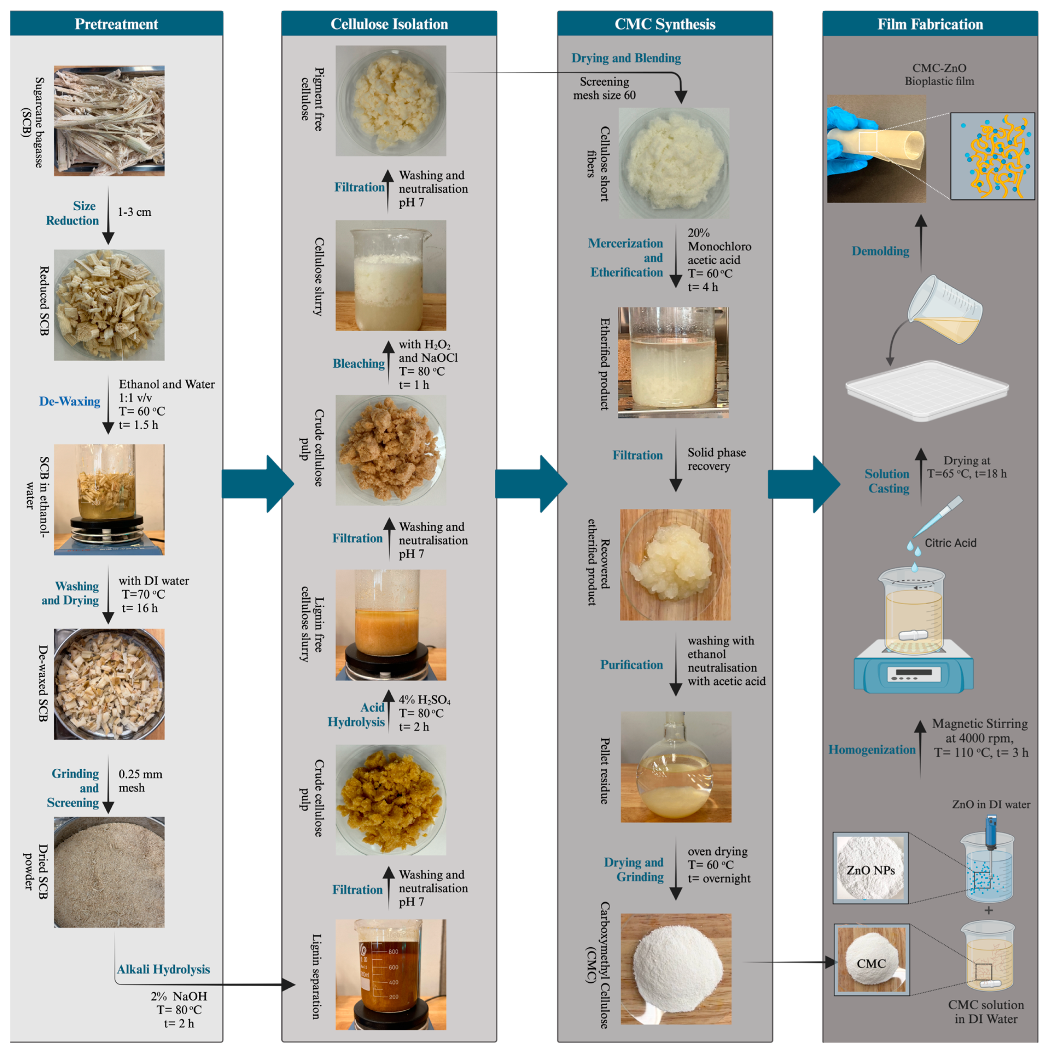 Polymers 17 00579 g001