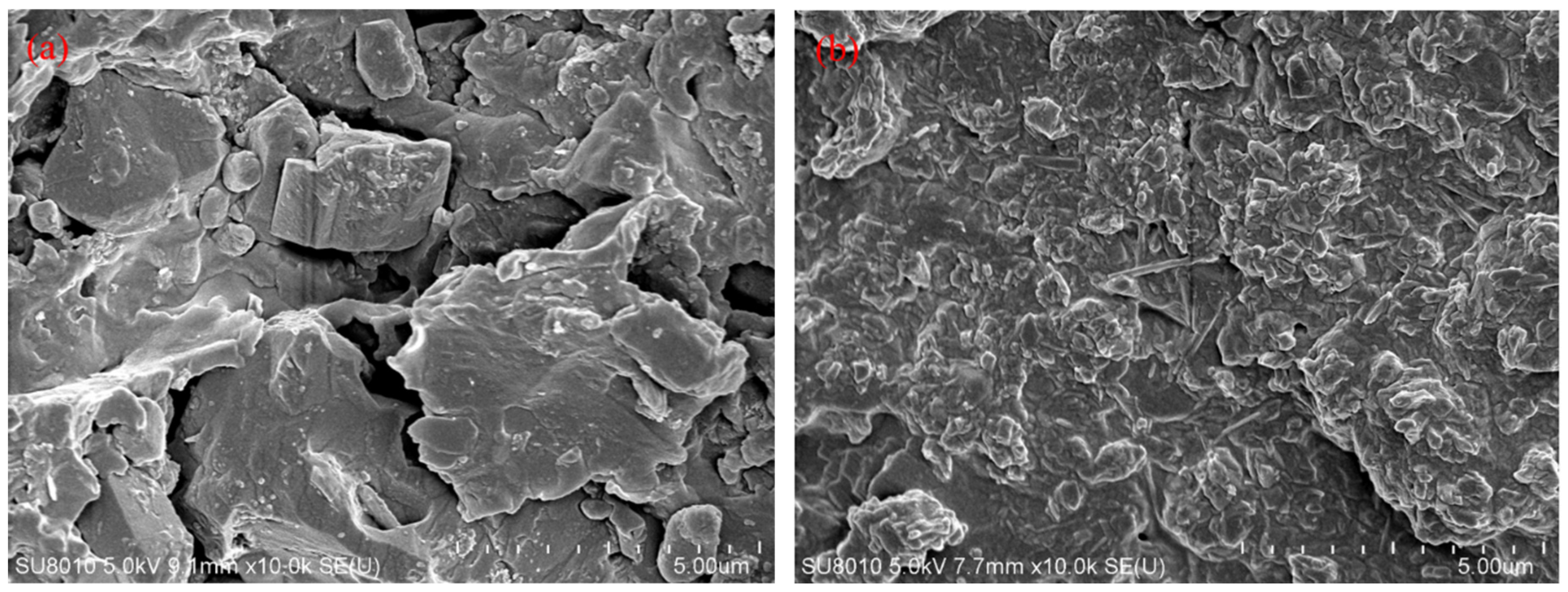 Polymers 17 00588 g006
