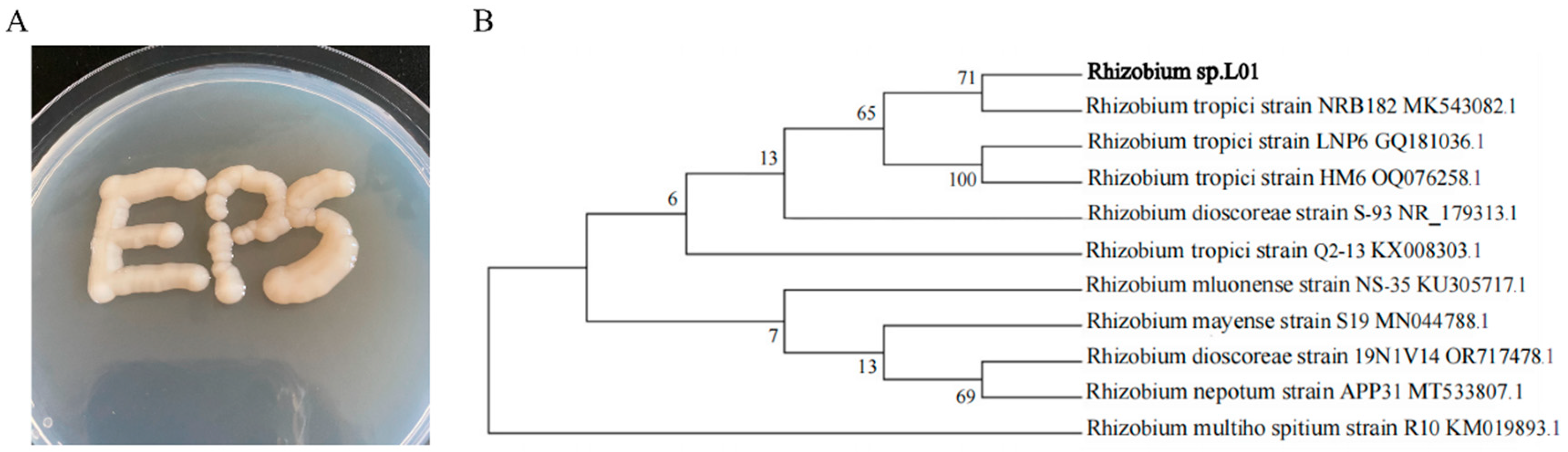 Polymers 17 00592 g001