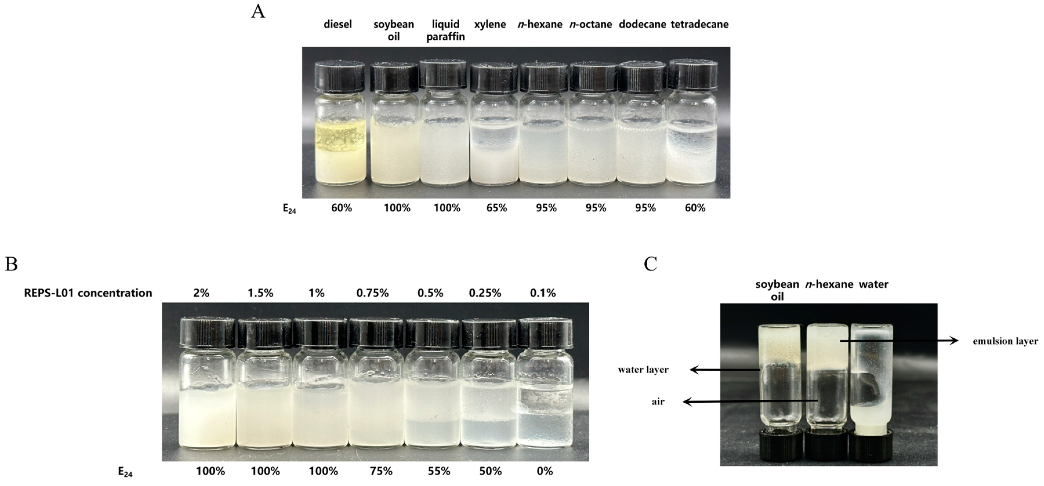 Polymers 17 00592 g006