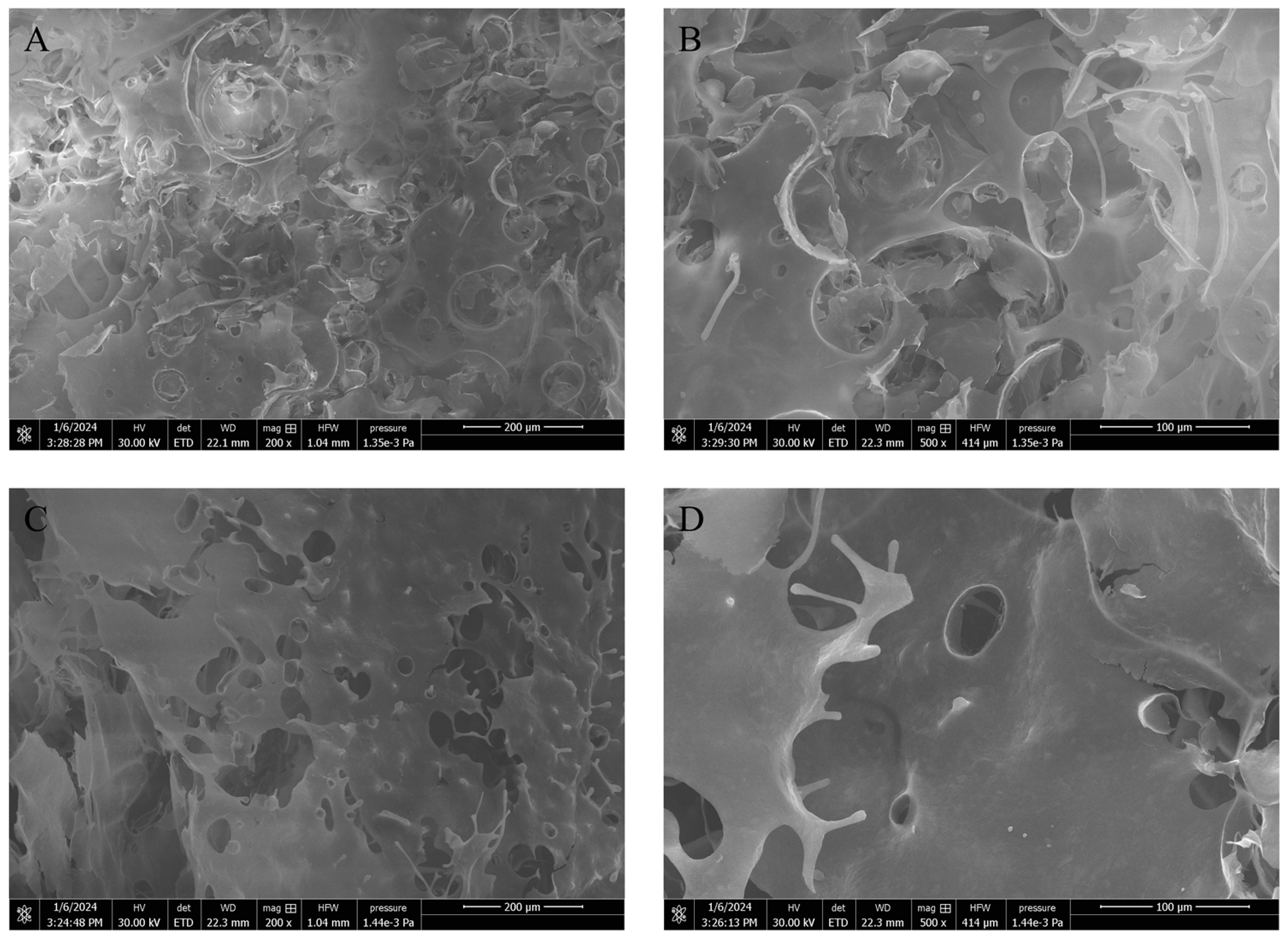 Polymers 17 00592 g008