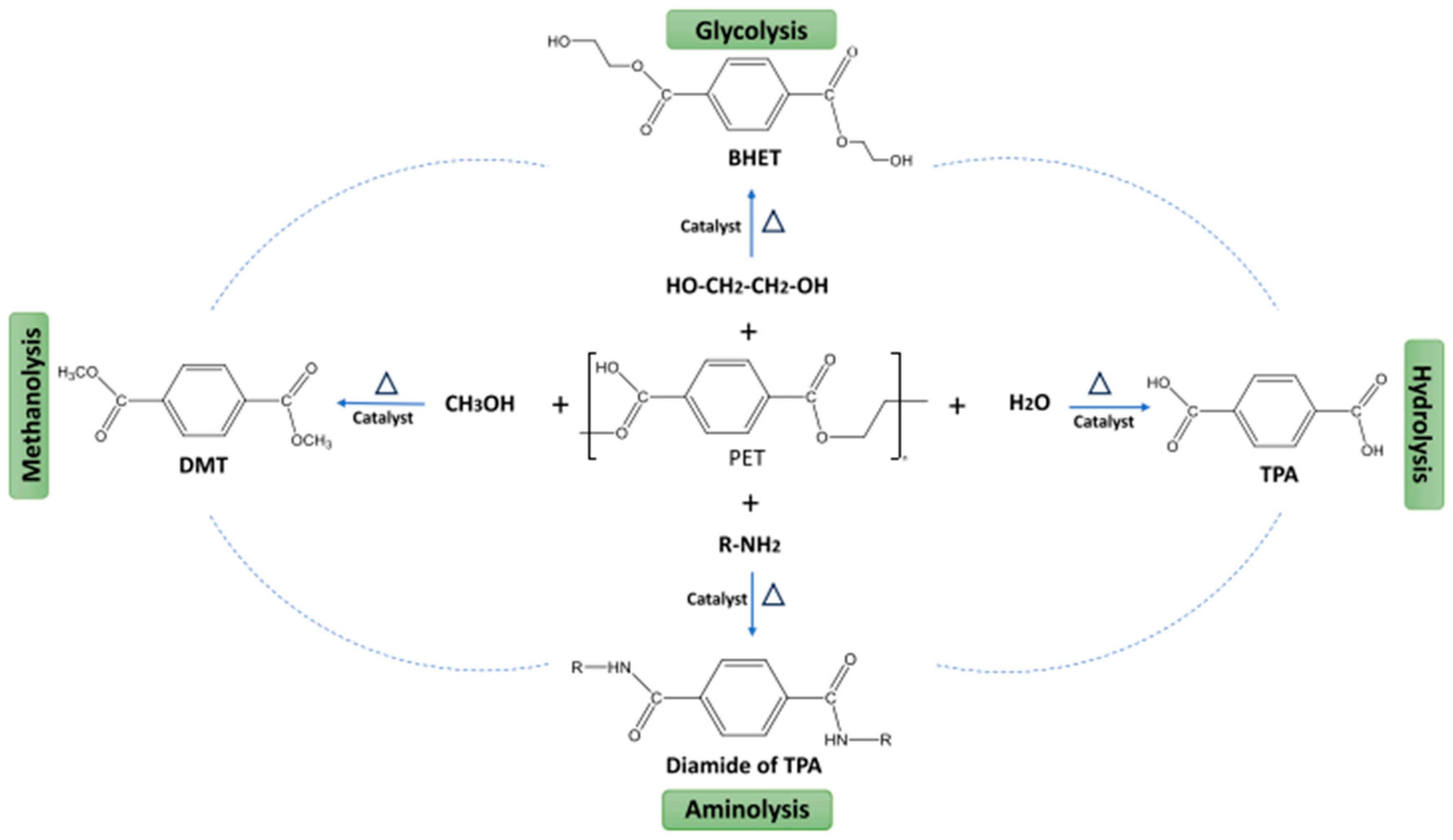 Polymers 17 00594 g005 Polymers 17 00594 g005