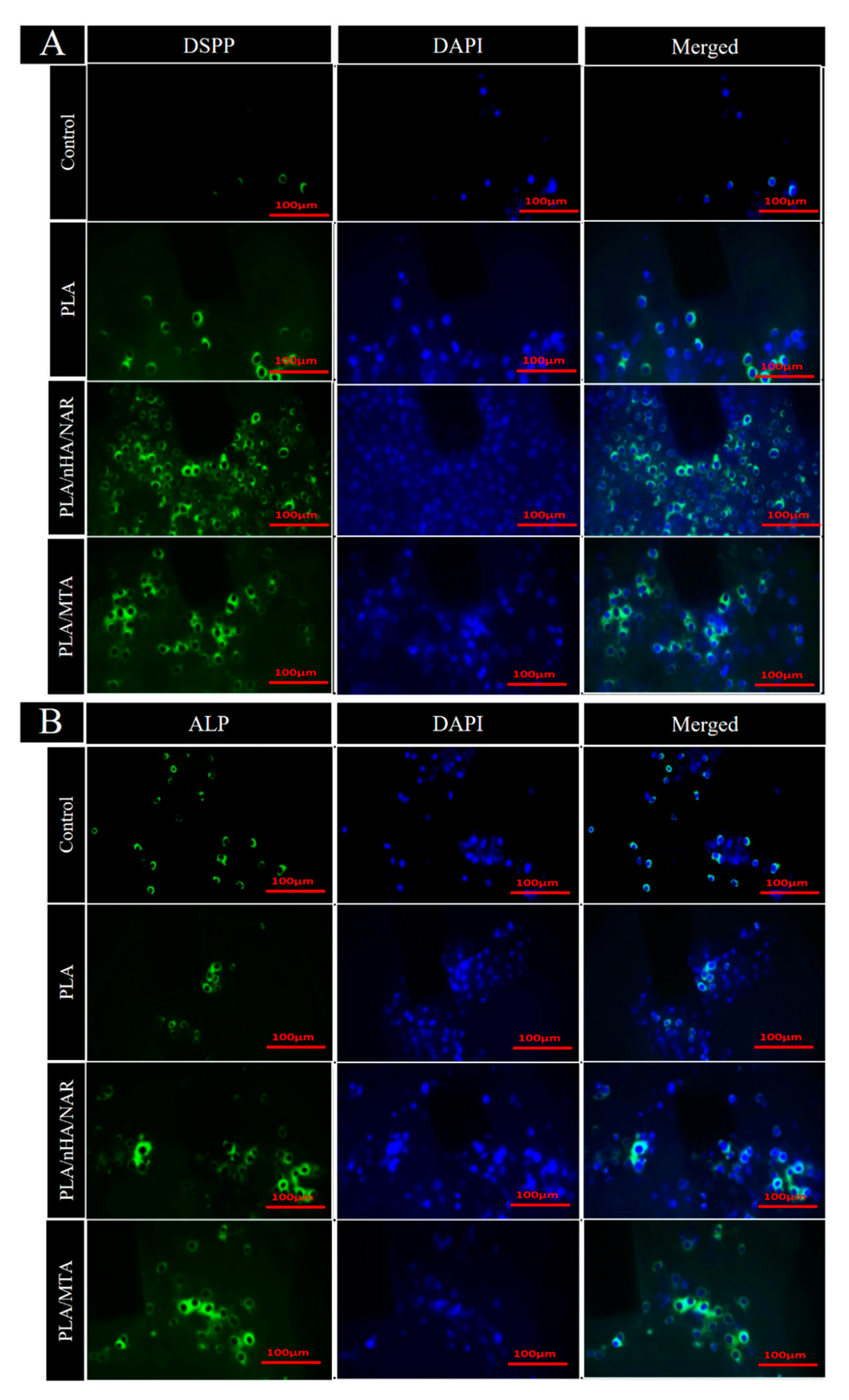 Polymers 17 00596 g005