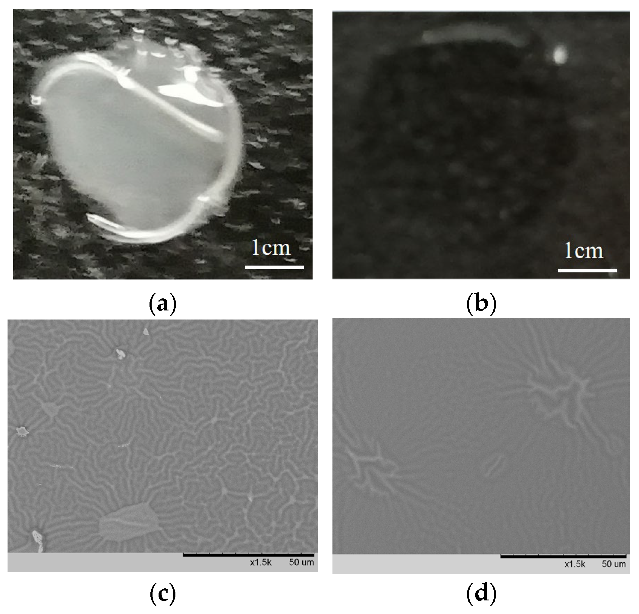 Polymers 17 00599 g008