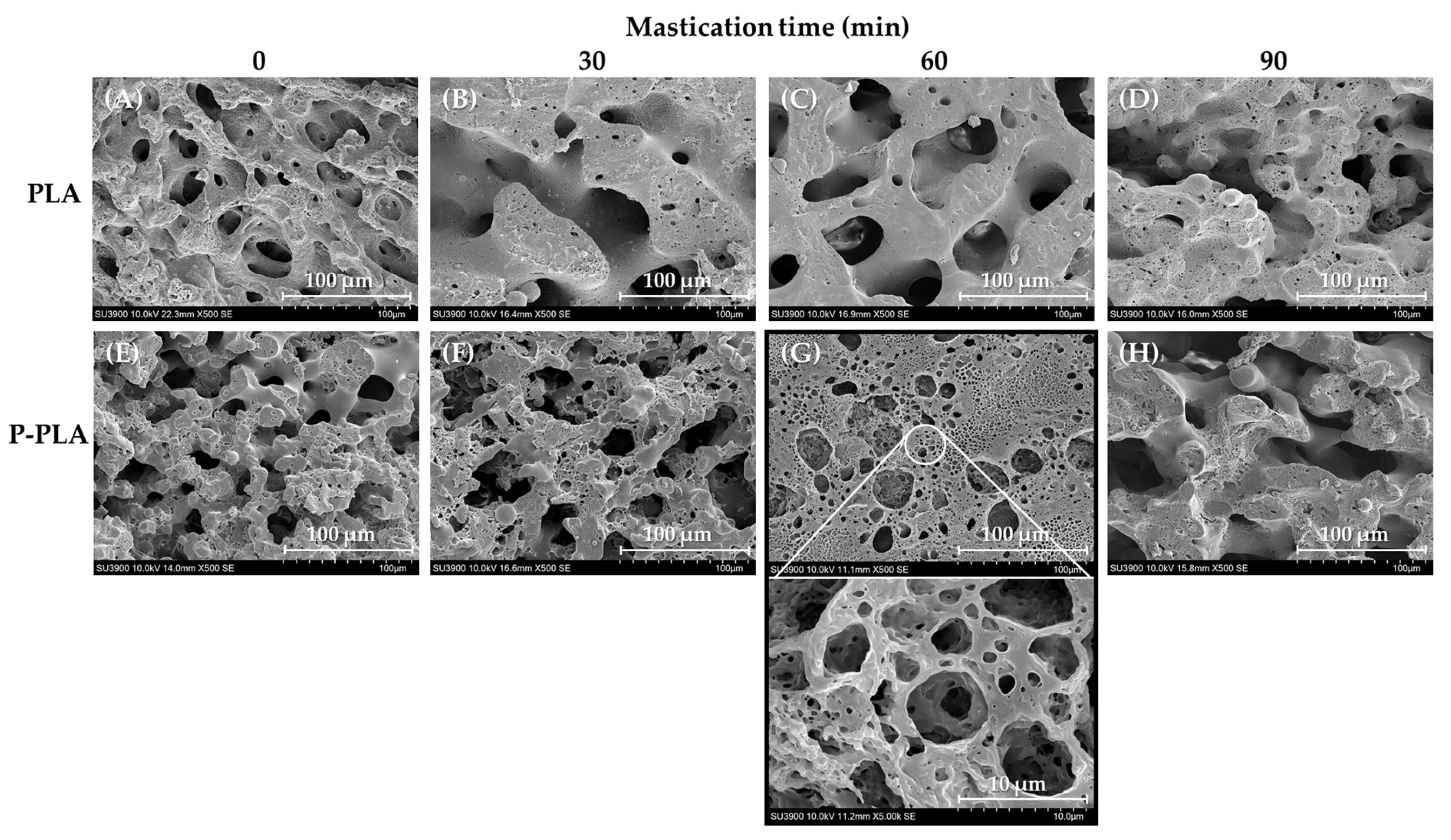 Polymers 17 00601 g001