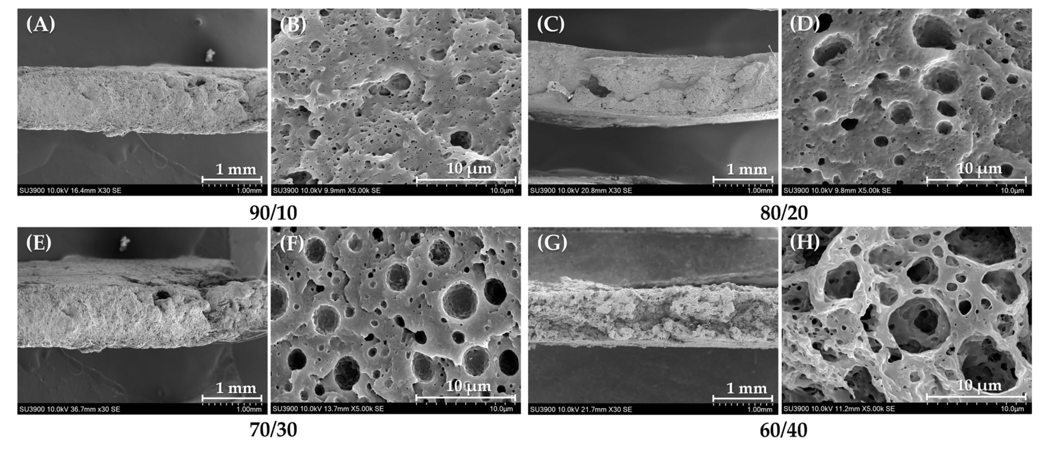 Polymers 17 00601 g005