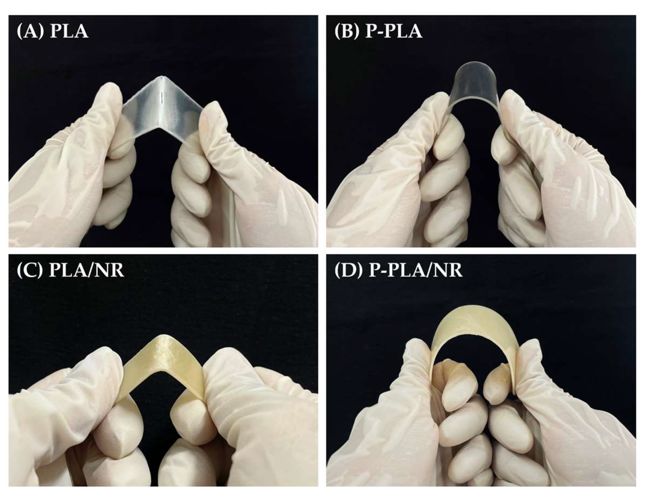 Polymers 17 00601 g006