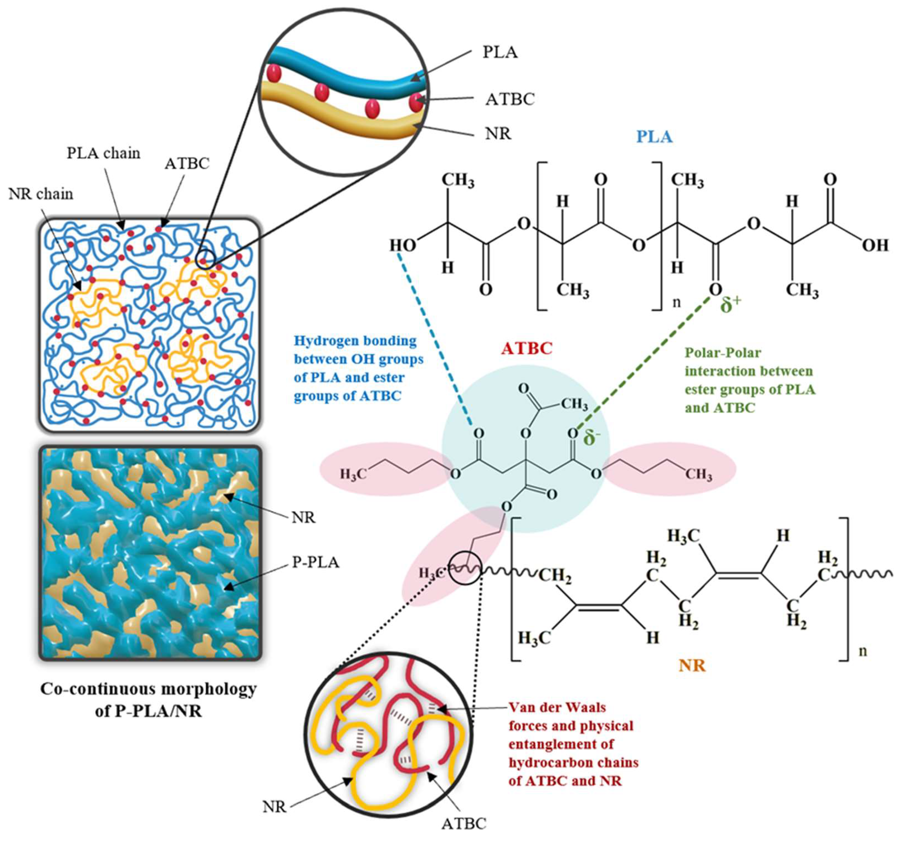 Polymers 17 00601 sch001