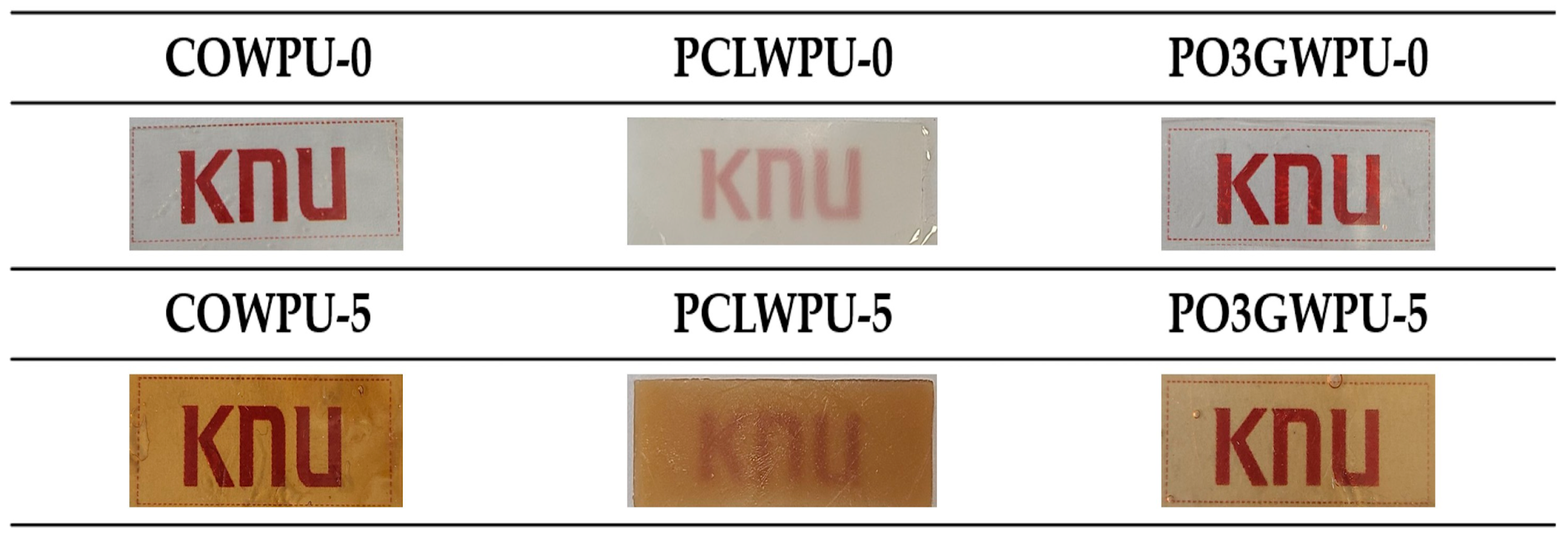 Polymers 17 00604 g002