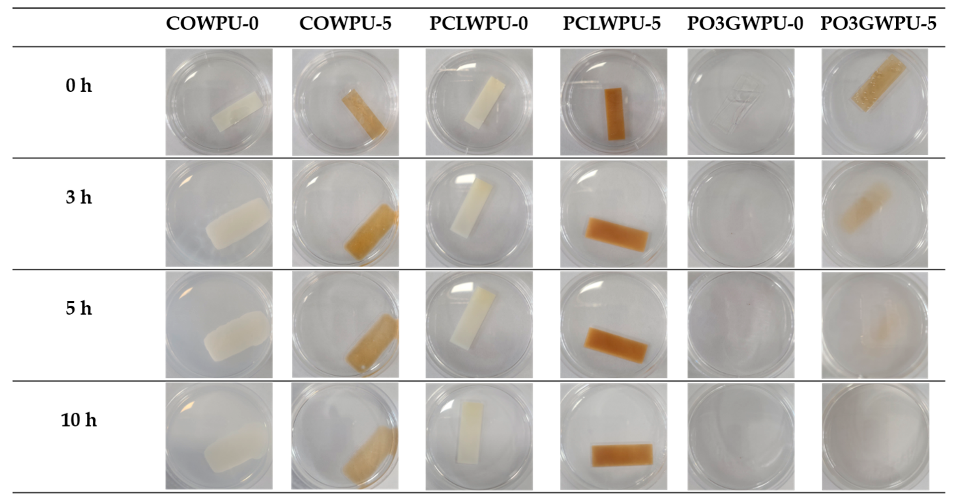 Polymers 17 00604 g008
