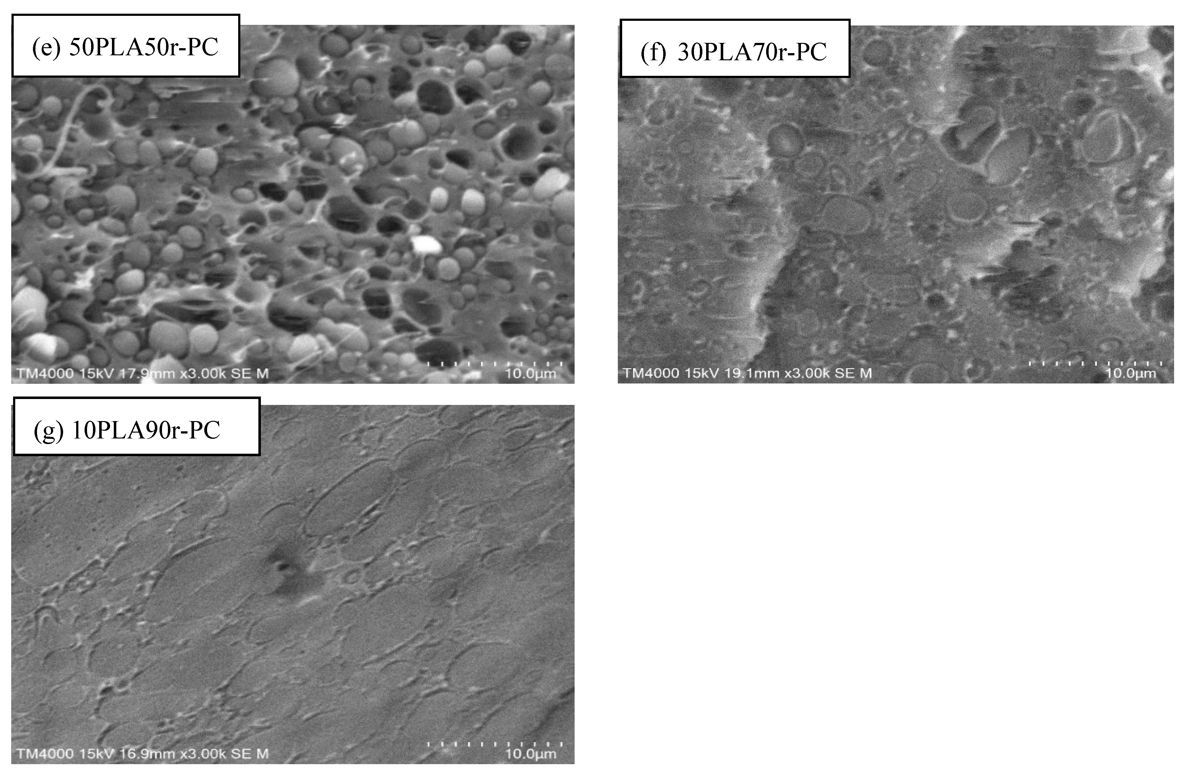 Polymers 17 00606 g008b