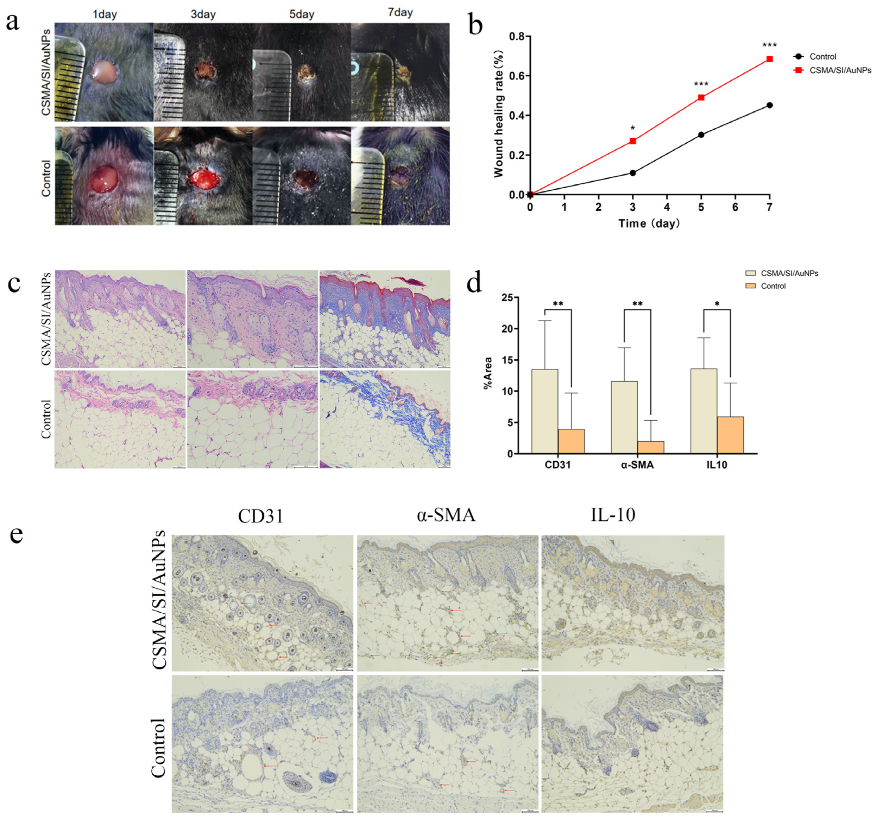 Polymers 17 00607 g004
