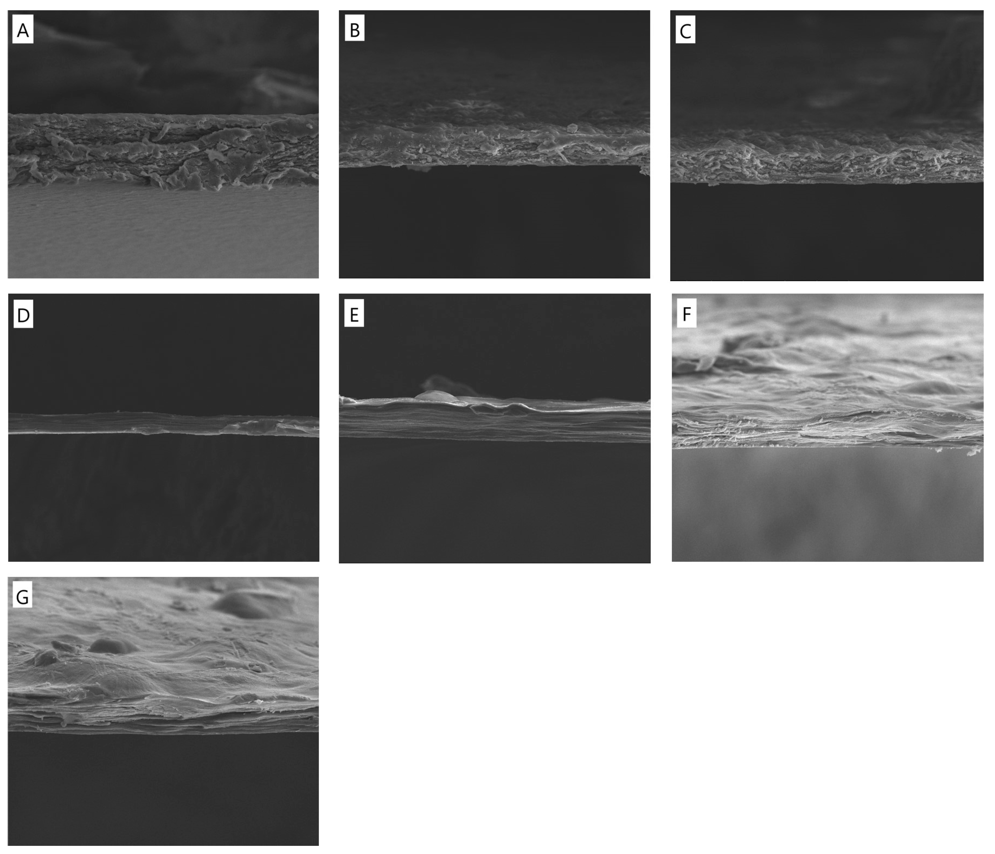 Polymers 17 00608 g001