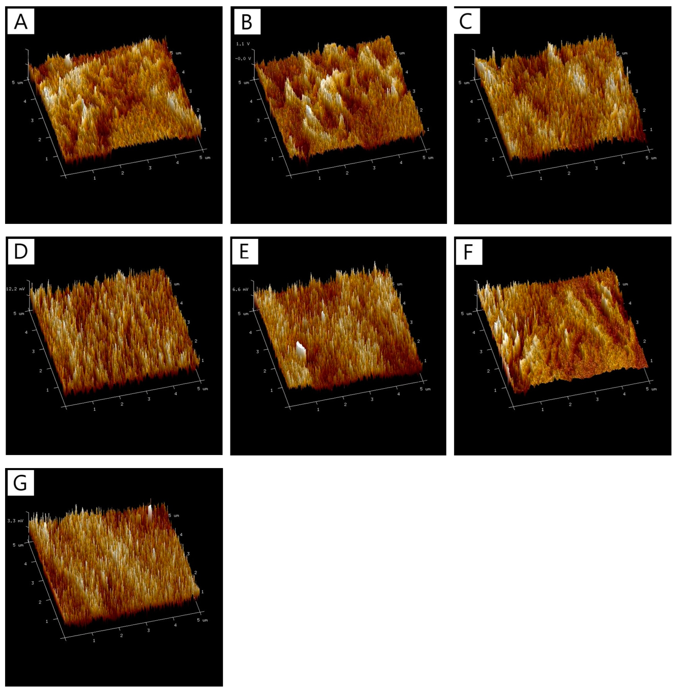Polymers 17 00608 g004