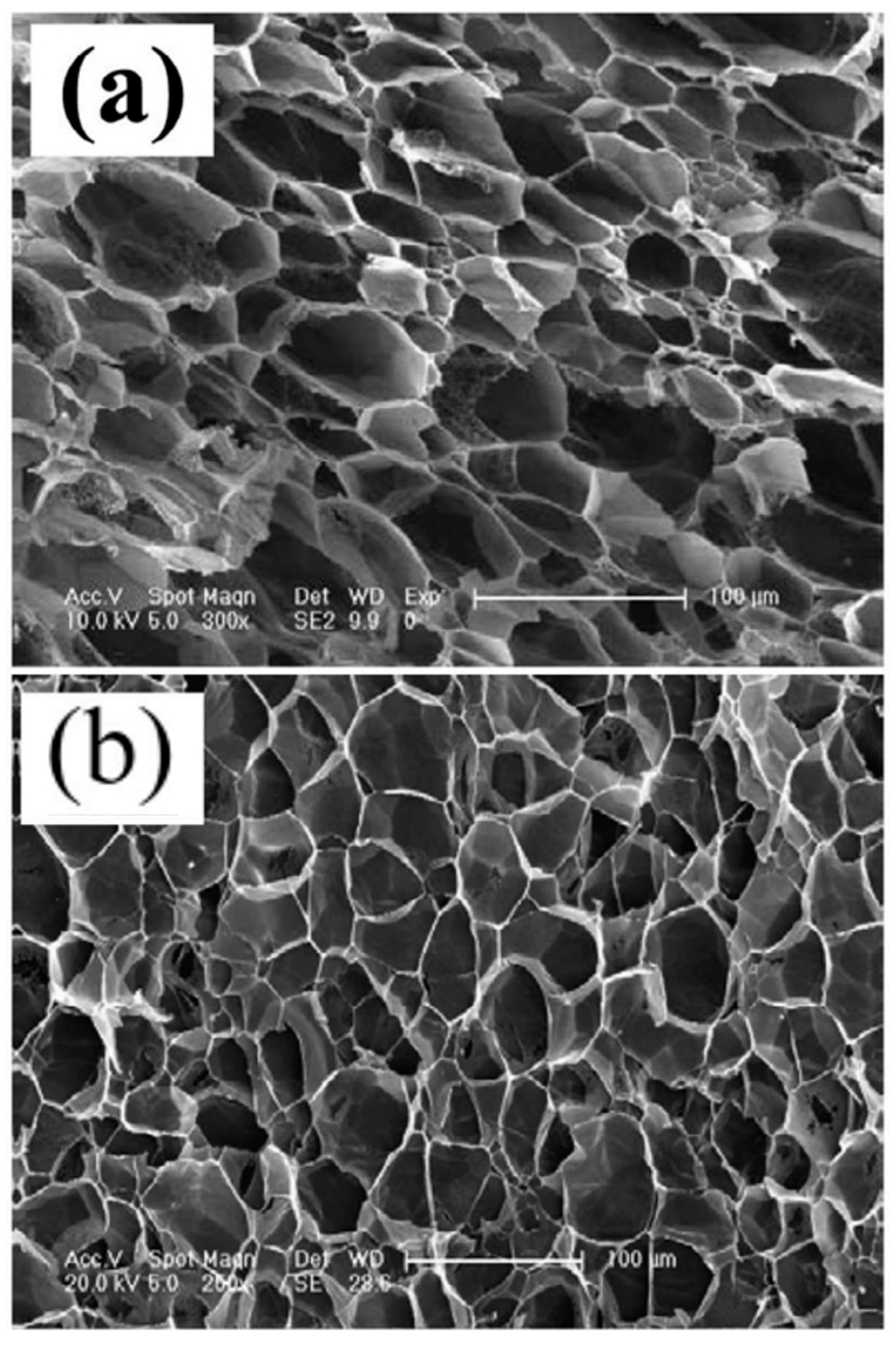 Polymers 17 00611 g004