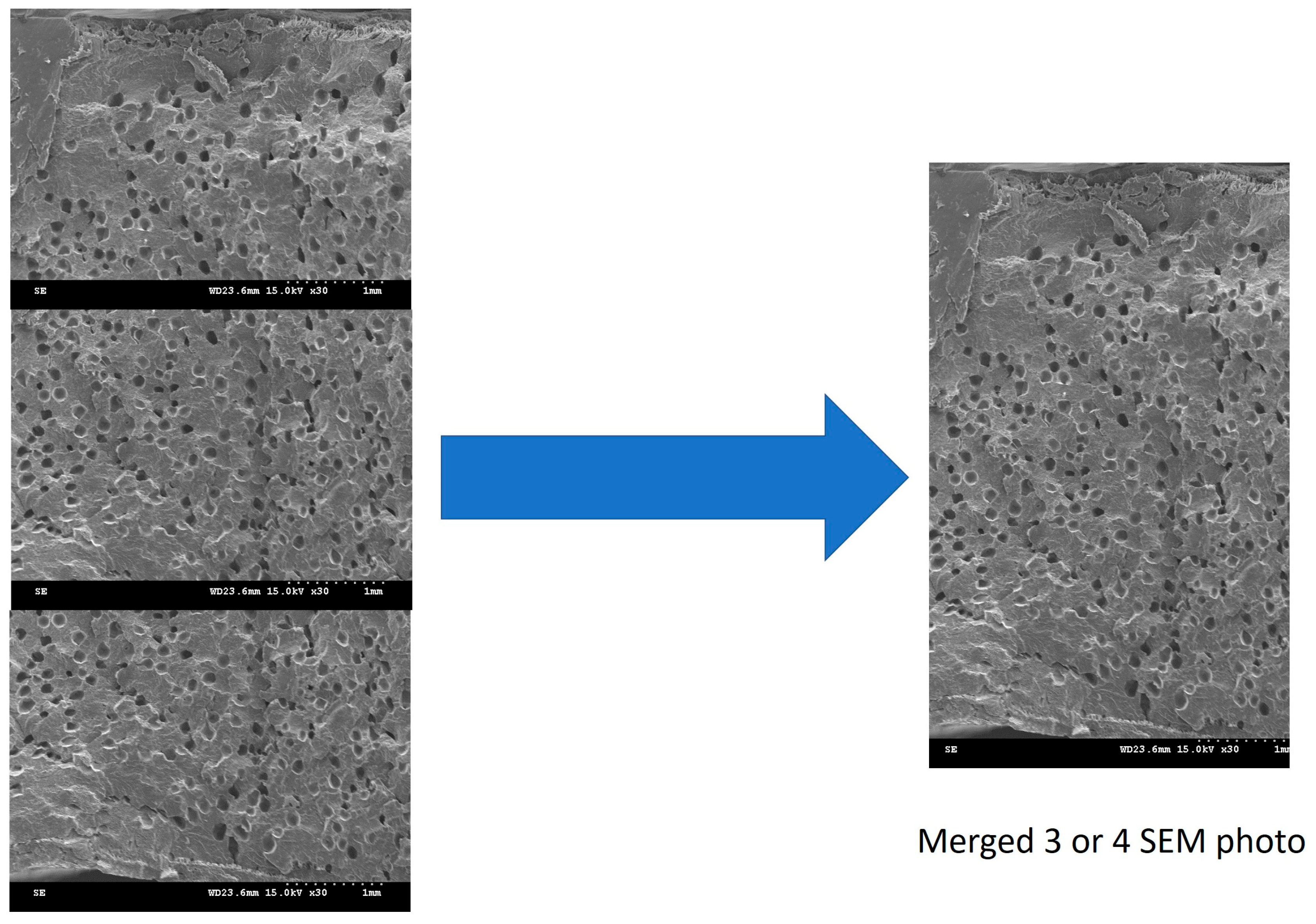 Polymers 17 00611 g007