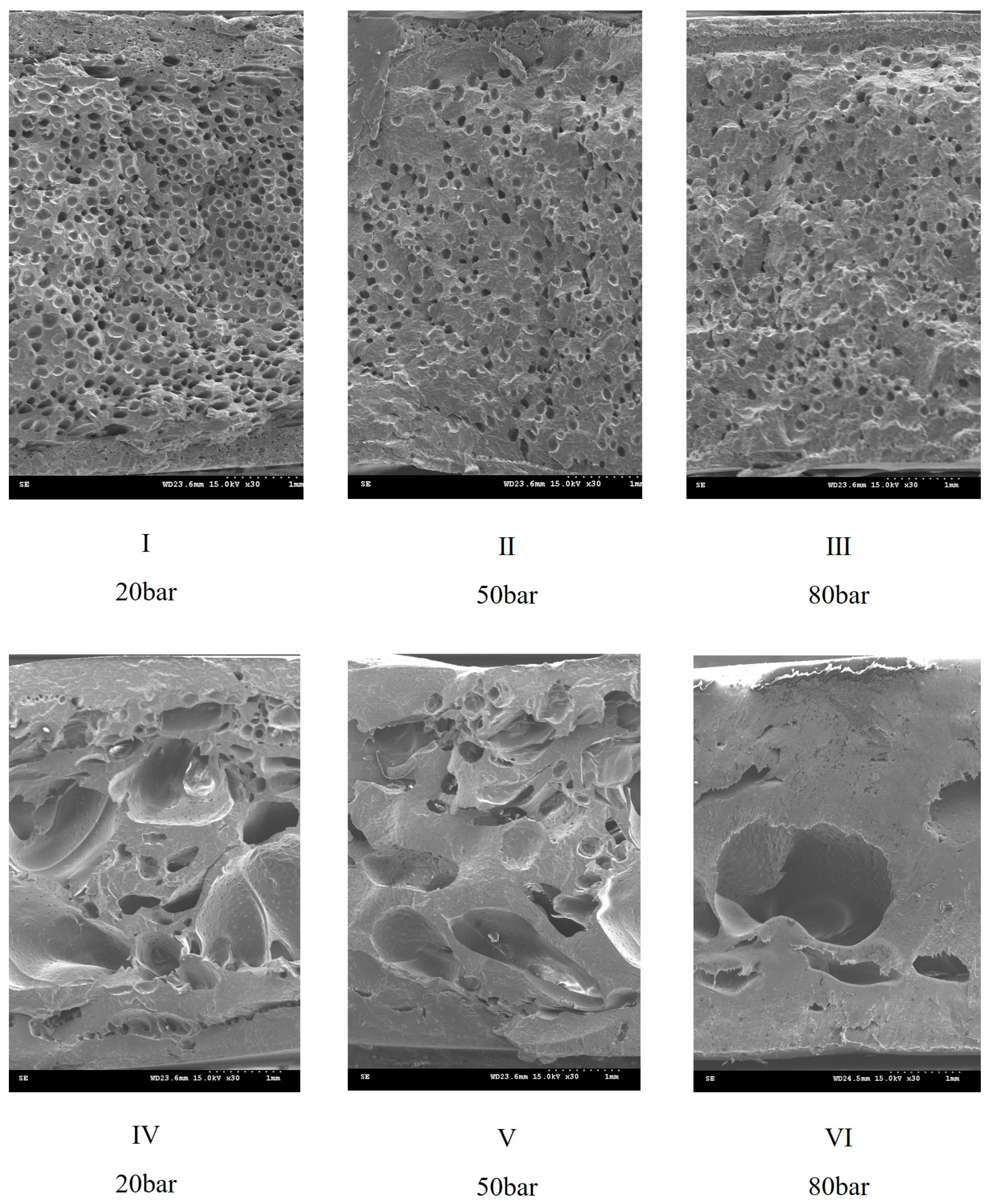 Polymers 17 00611 g010